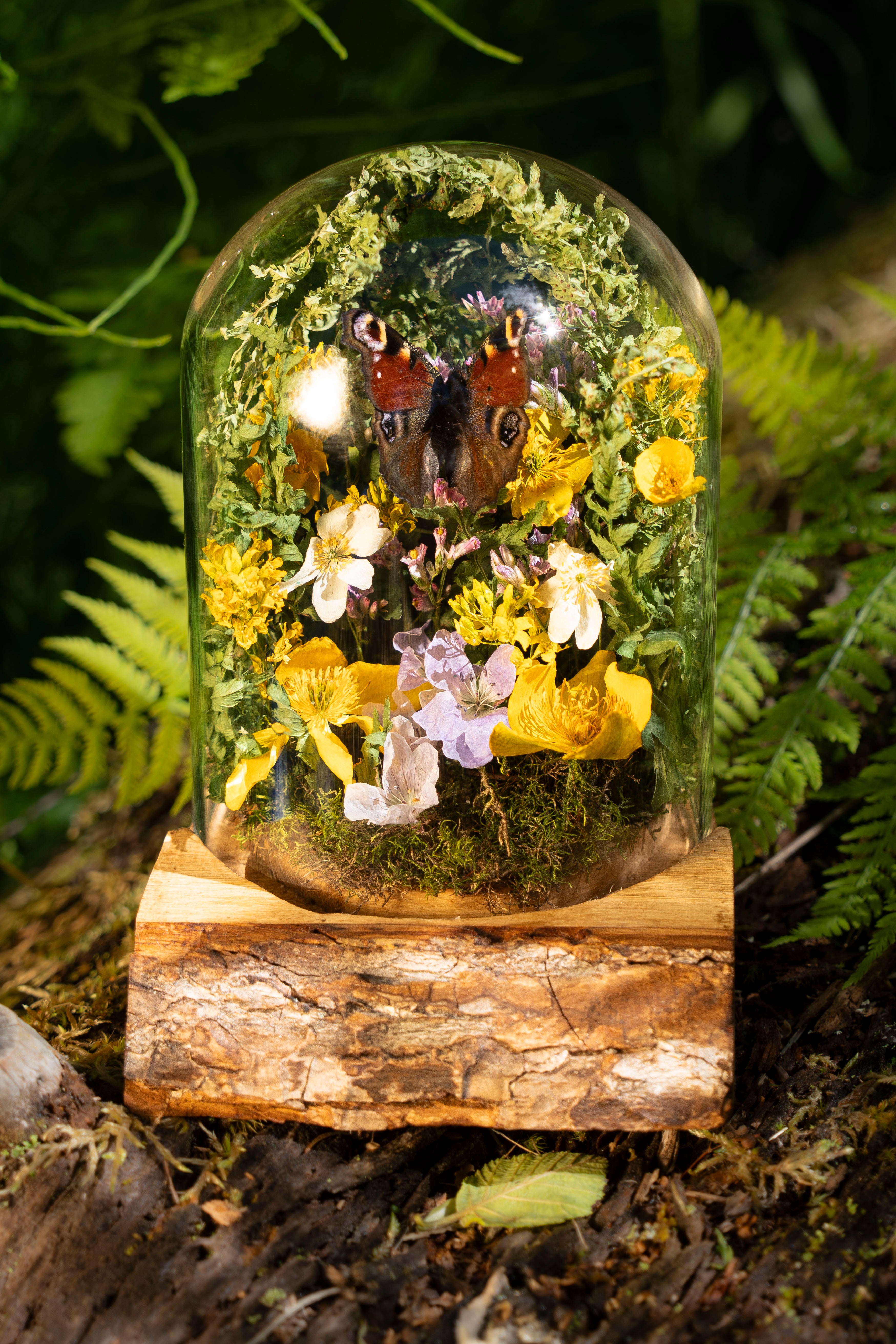 Mini World: Wood Anemone