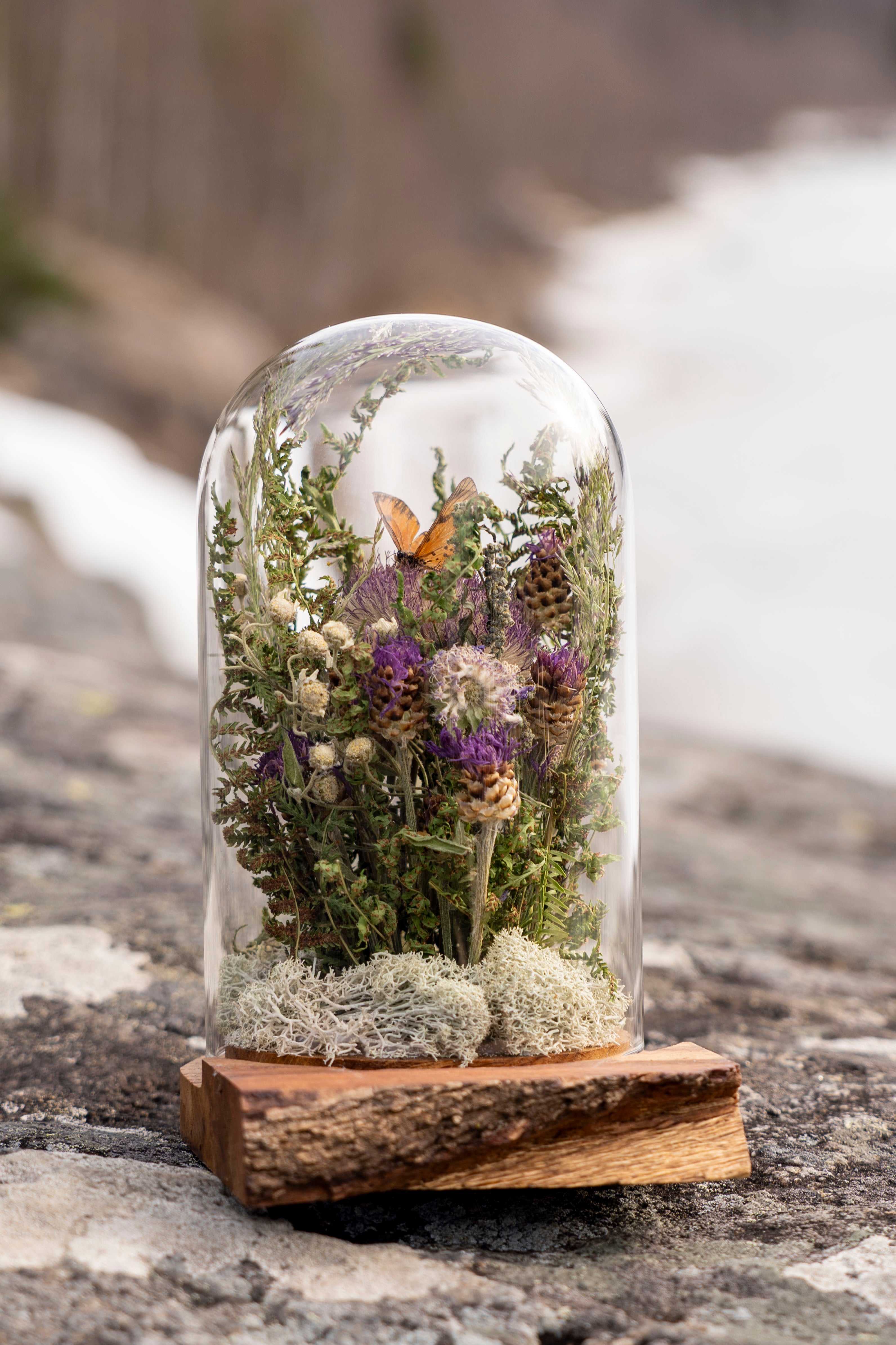 Mini World: Små vingar