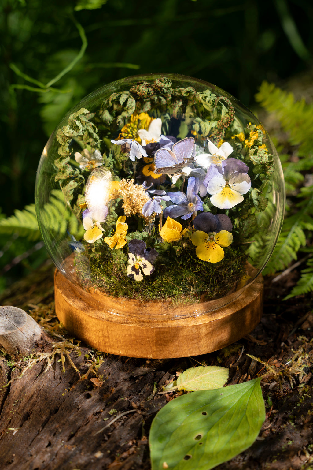 Mini World: Violets