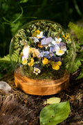 Mini World: Violets