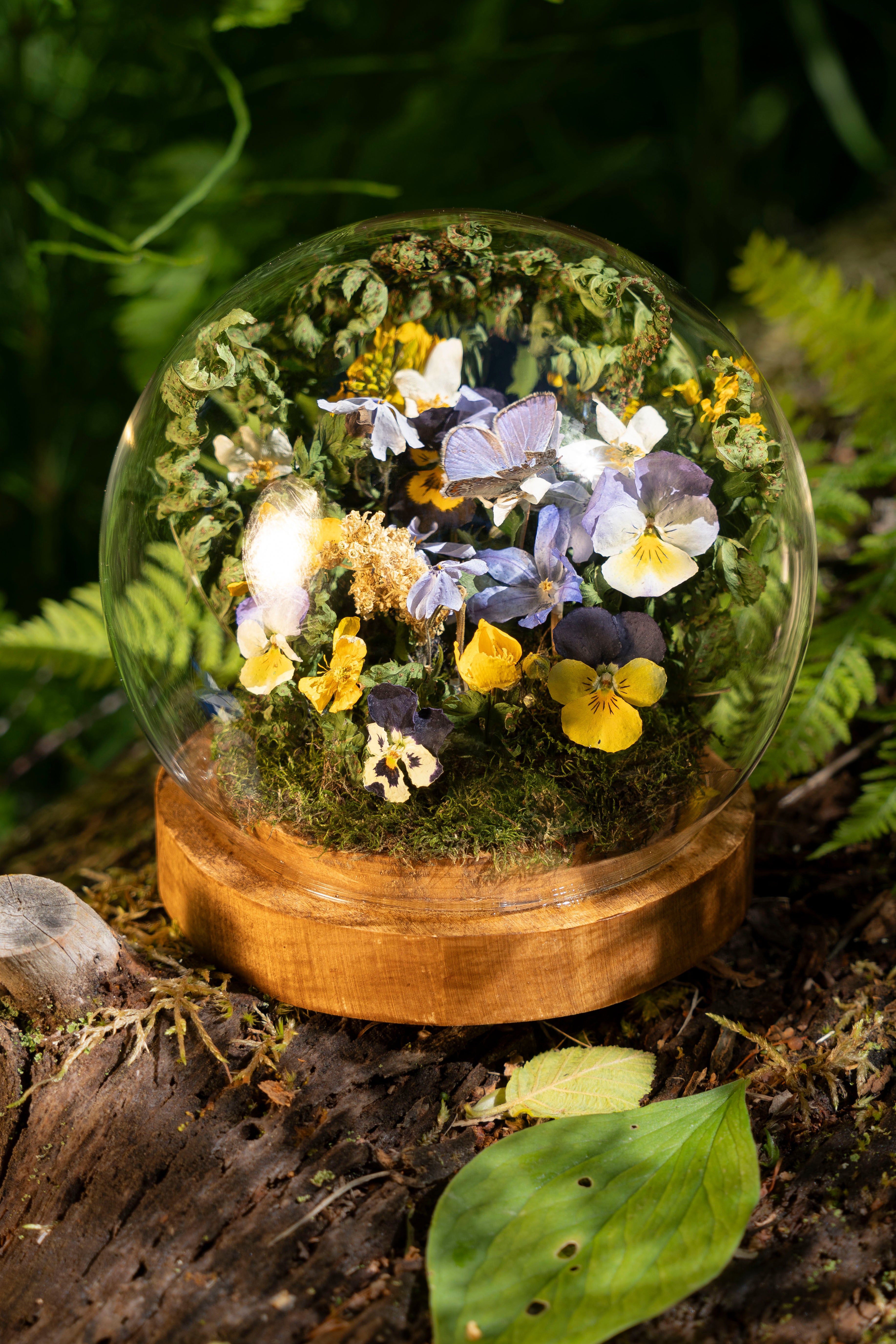 Mini World: Violets