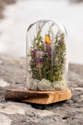 Mini World: Små vingar