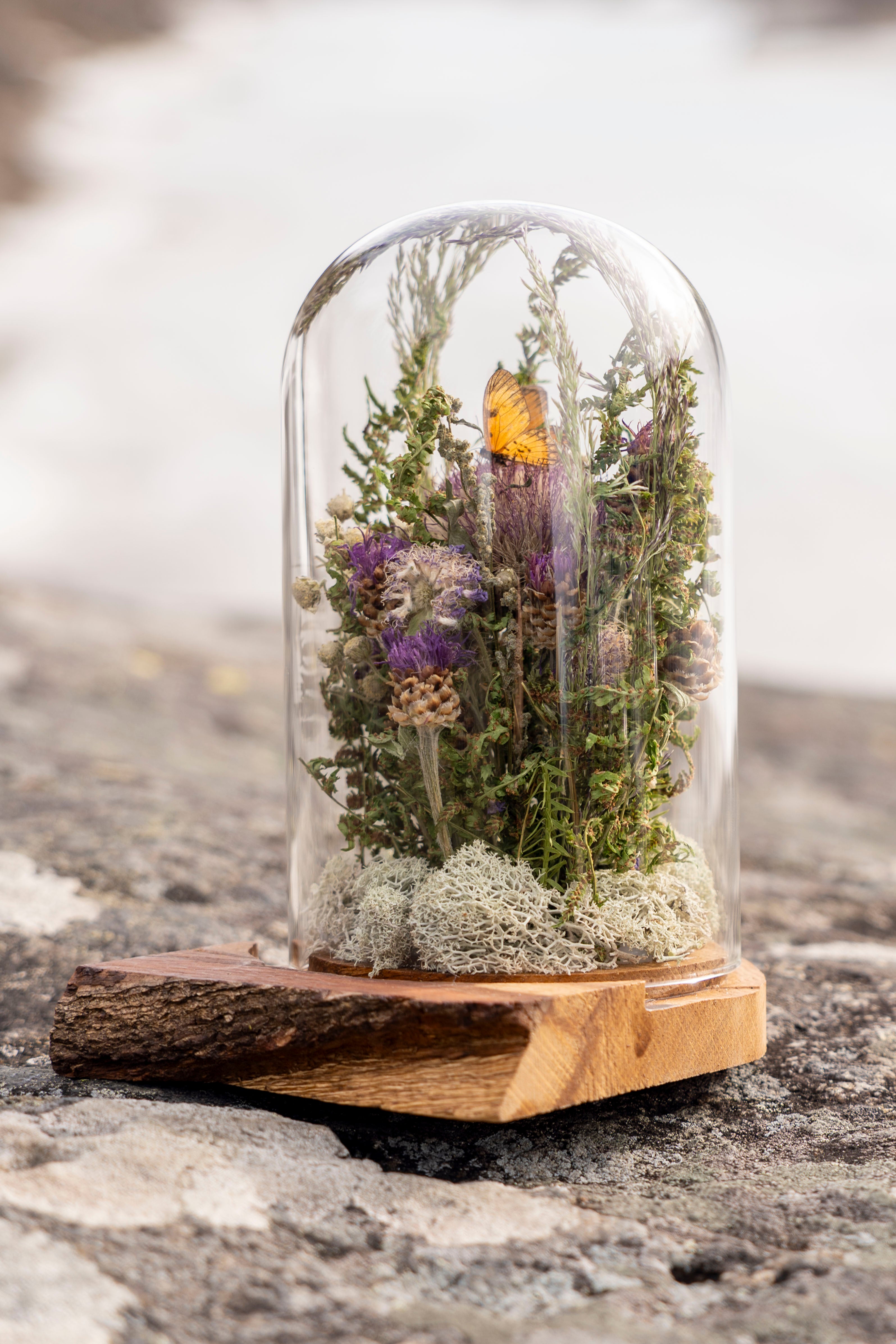 Mini World: Små vingar