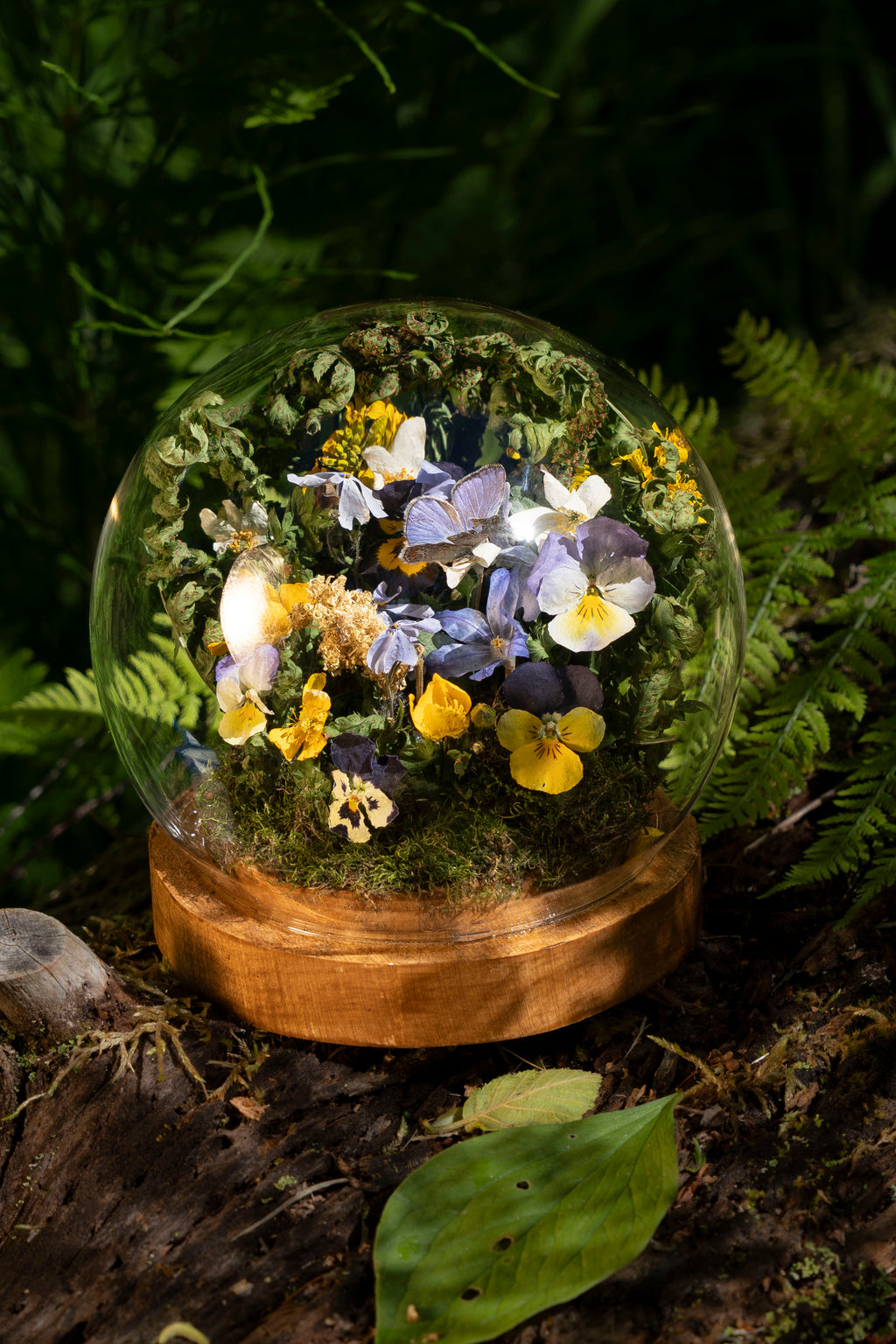 Mini World: Violets