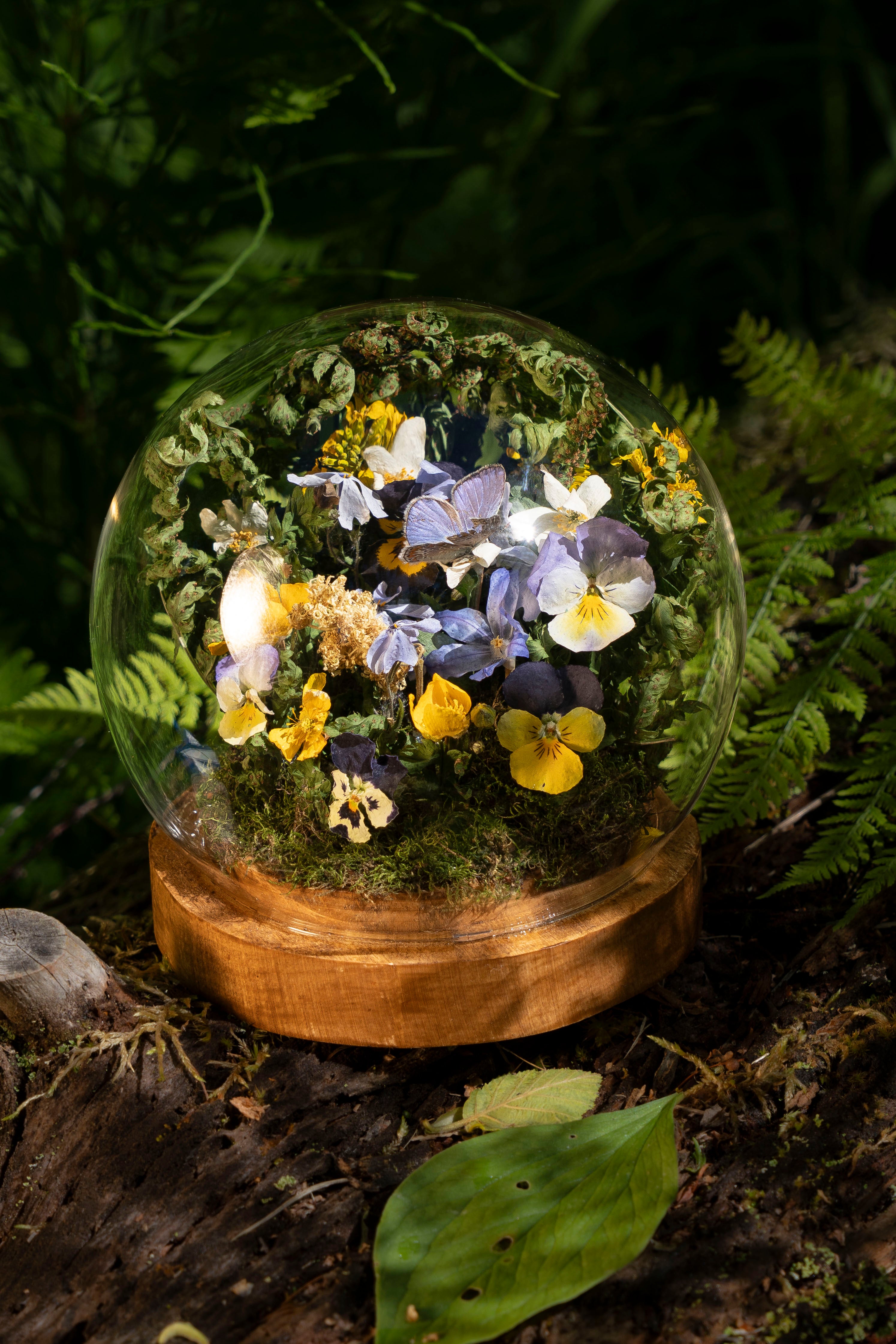 Mini World: Violets