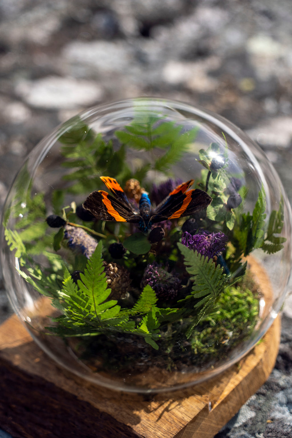 Mini World: Botanisk Omfamning