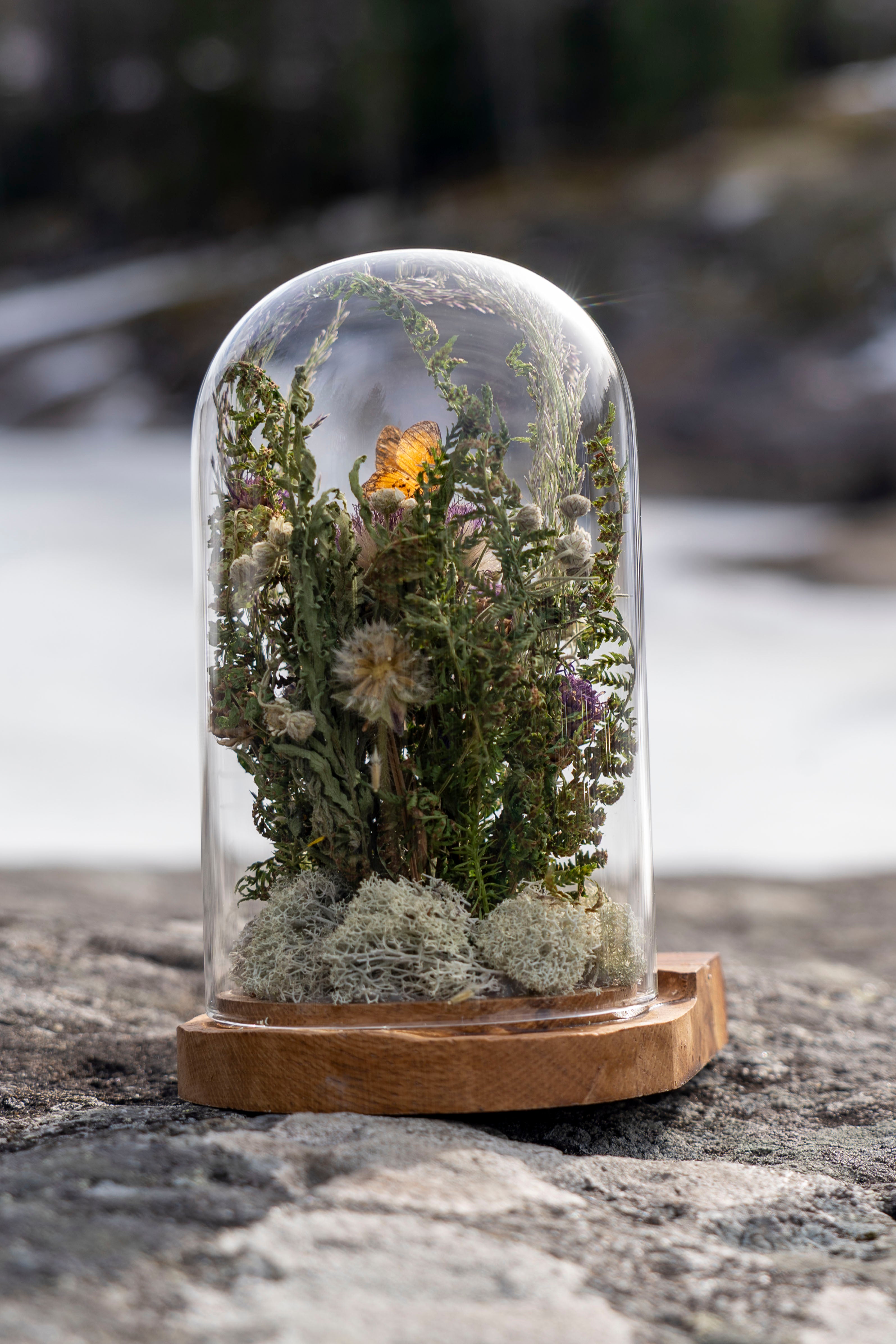 Mini World: Små vingar