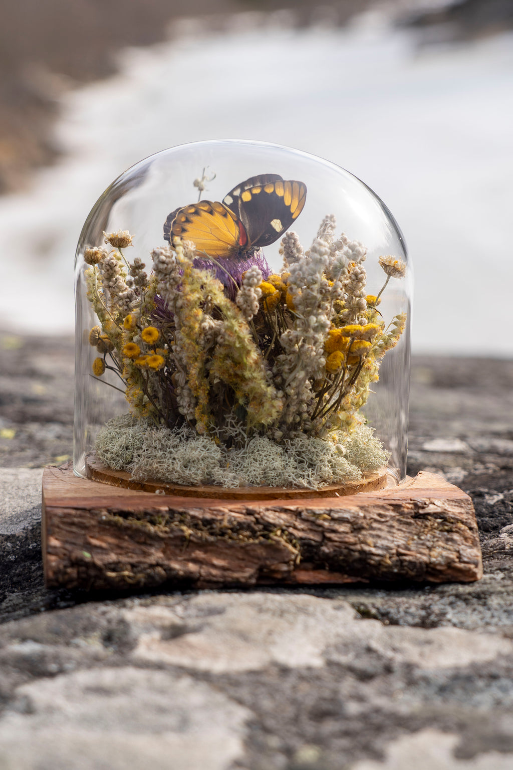 Mini World: Vår
