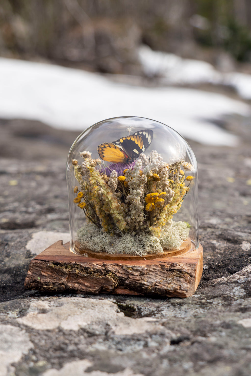 Mini World: Vår