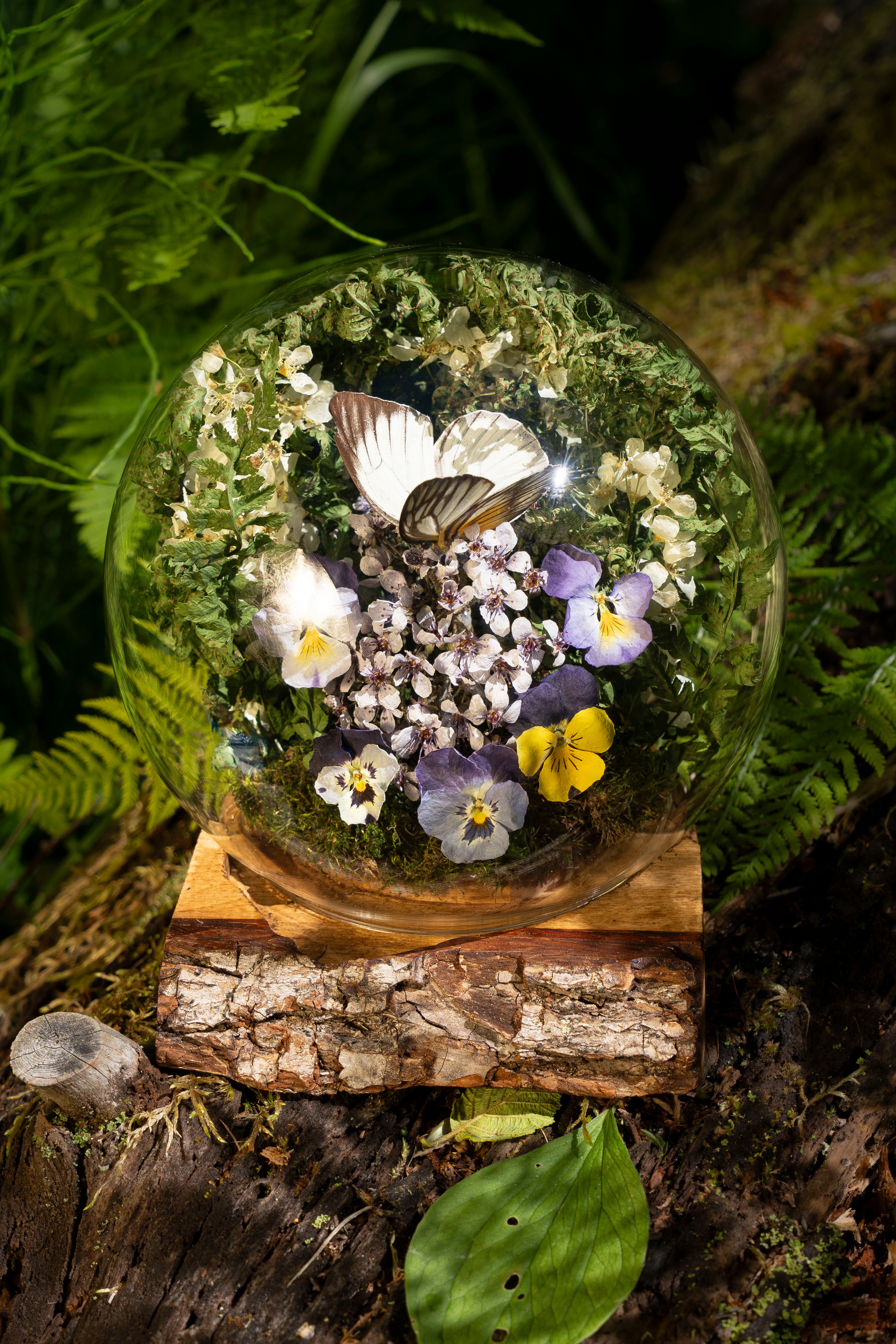 Mini World: Botanic Embrace