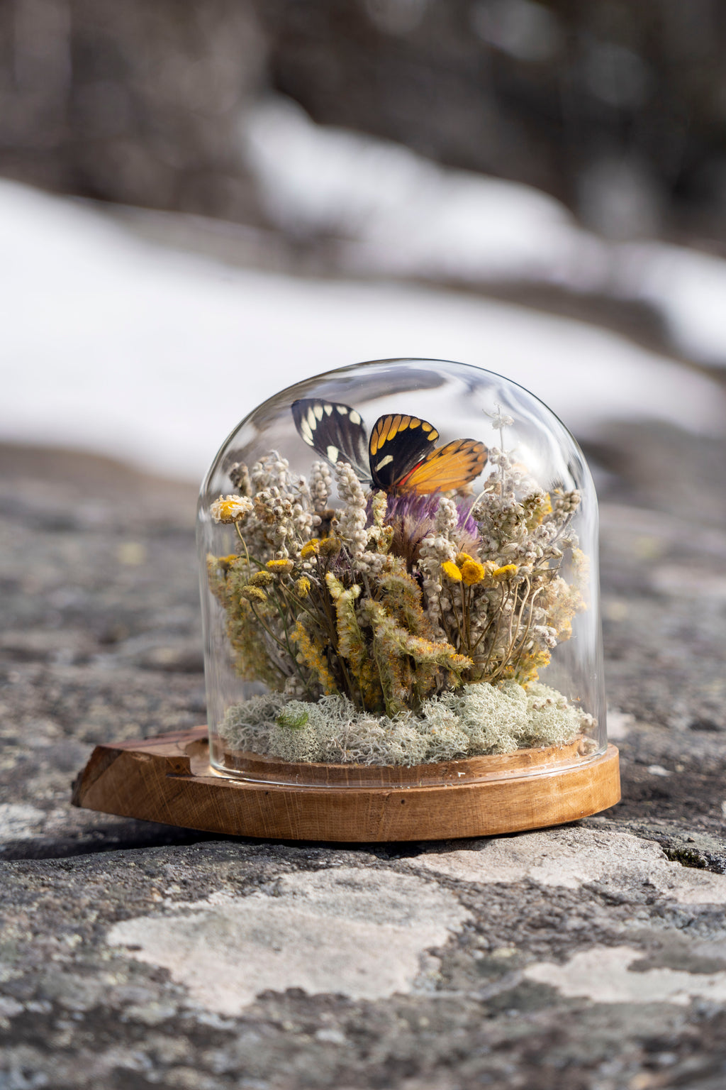 Mini World: Vår