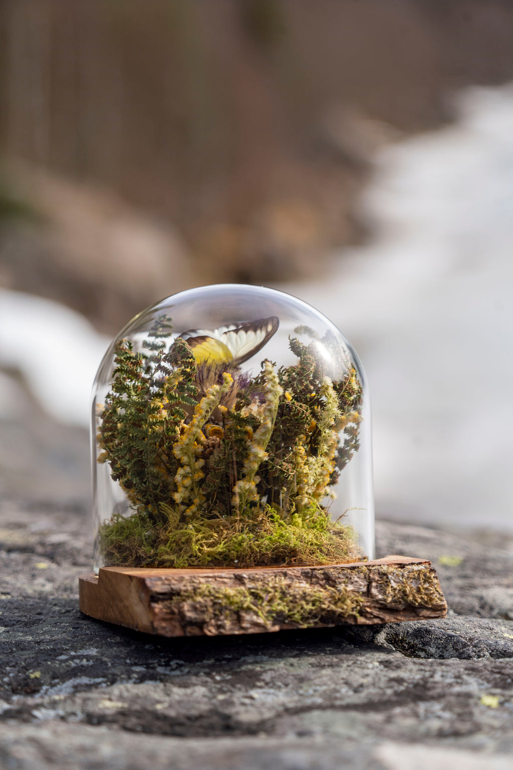 Mini World: Varma dagar
