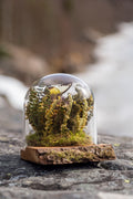 Mini World: Varma dagar