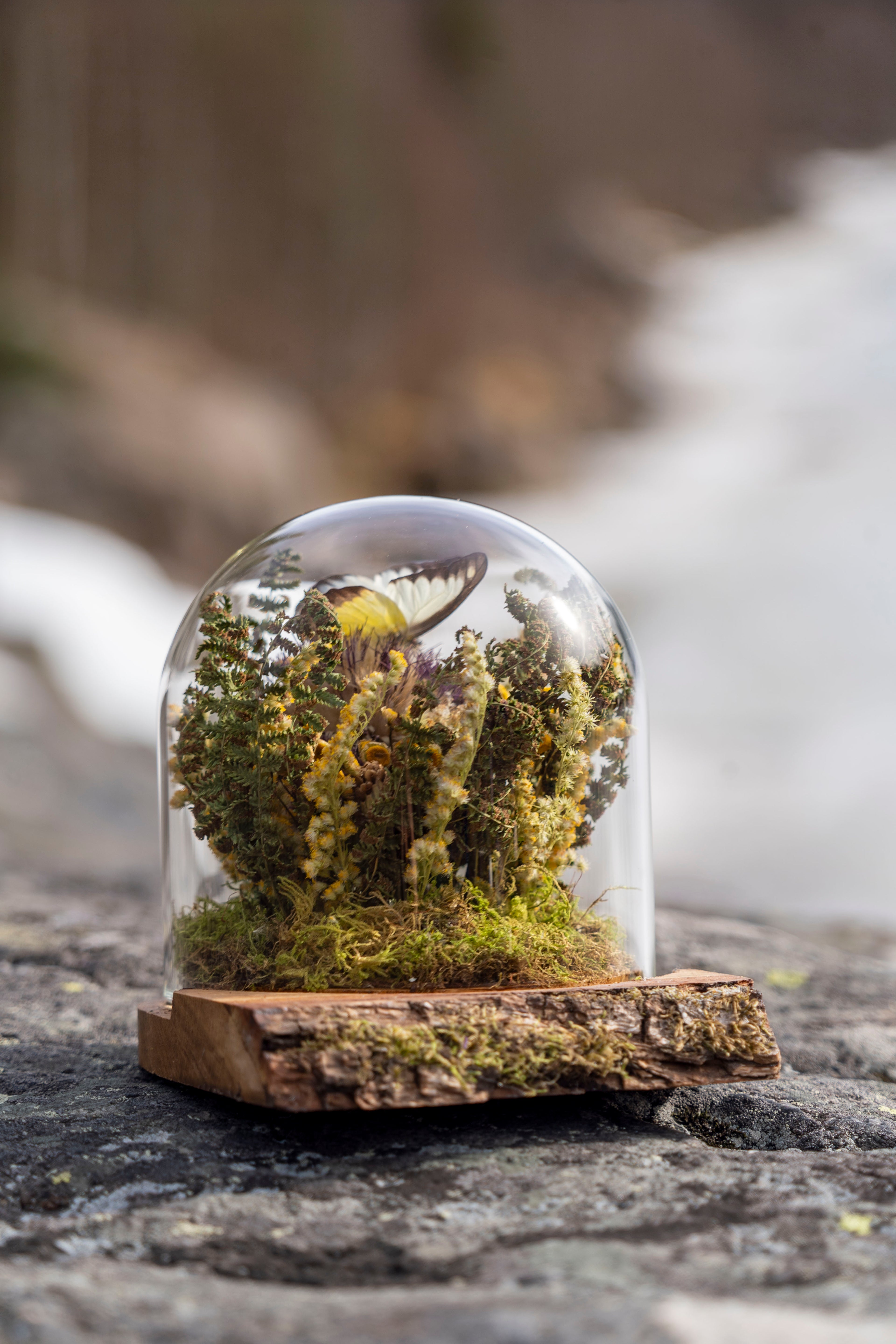 Mini World: Varma dagar