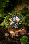 Mini World: Delicate Wings