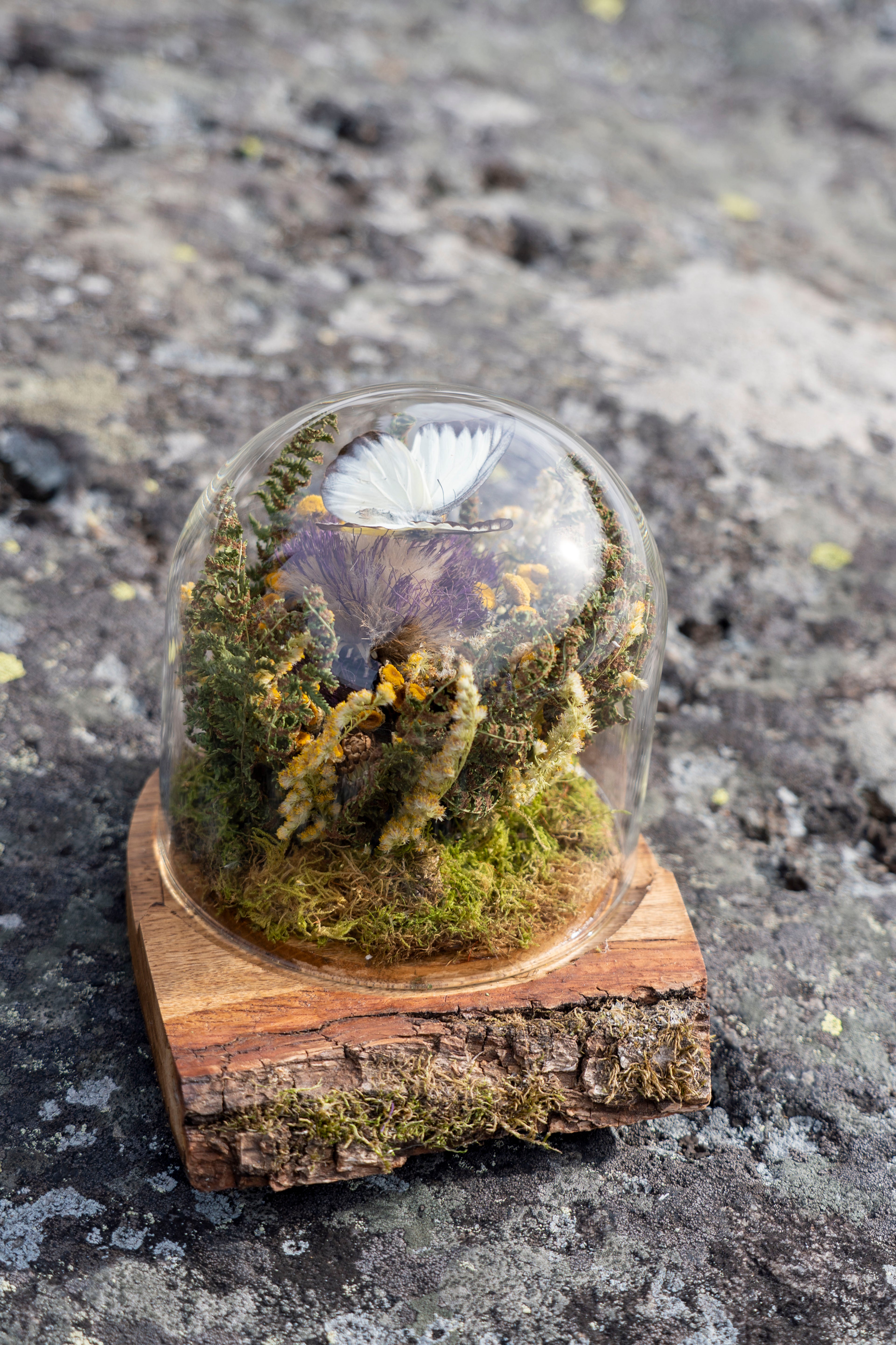 Mini World: Varma dagar