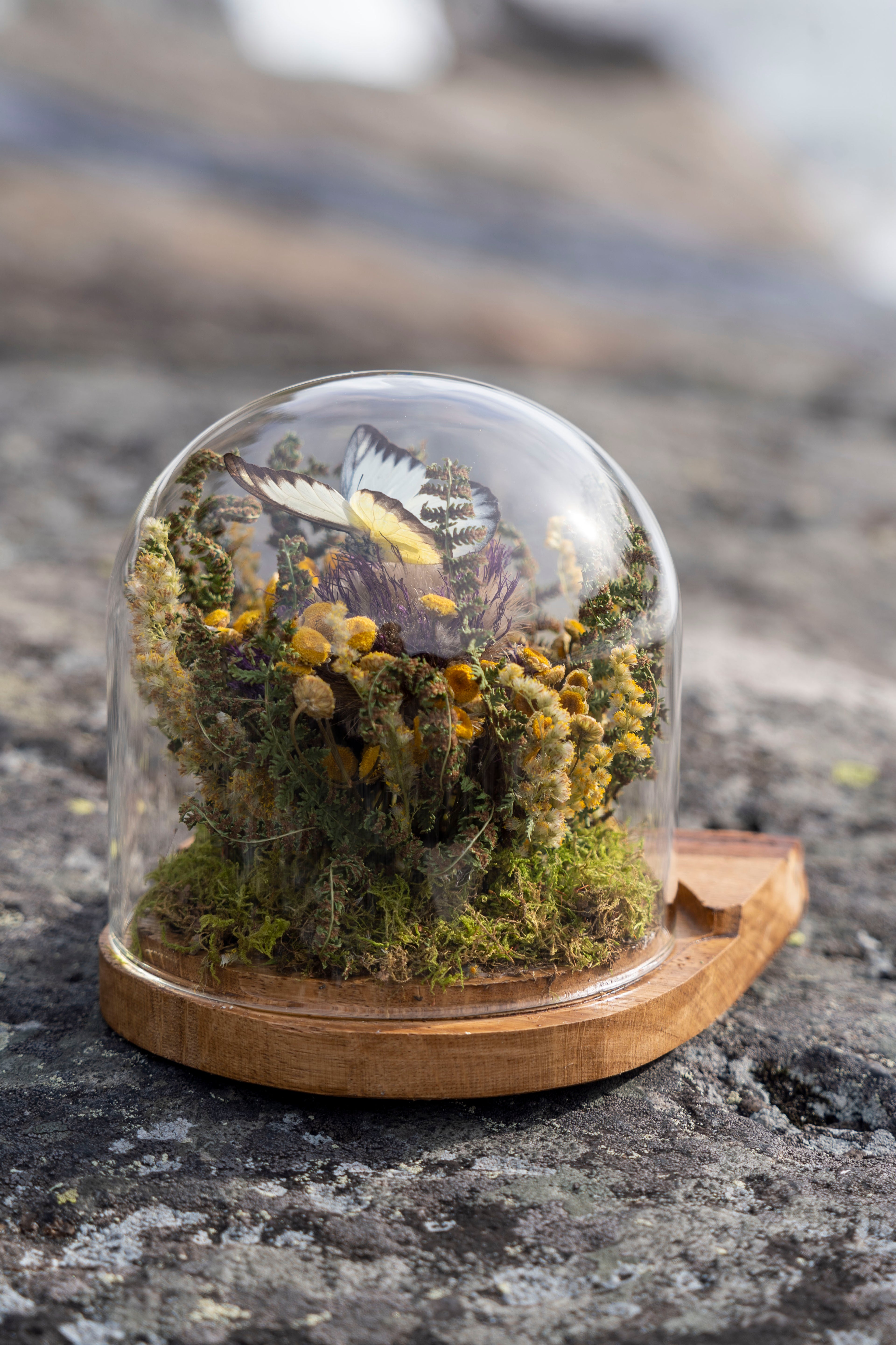 Mini World: Varma dagar