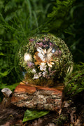 Mini World: Botanic Sphere