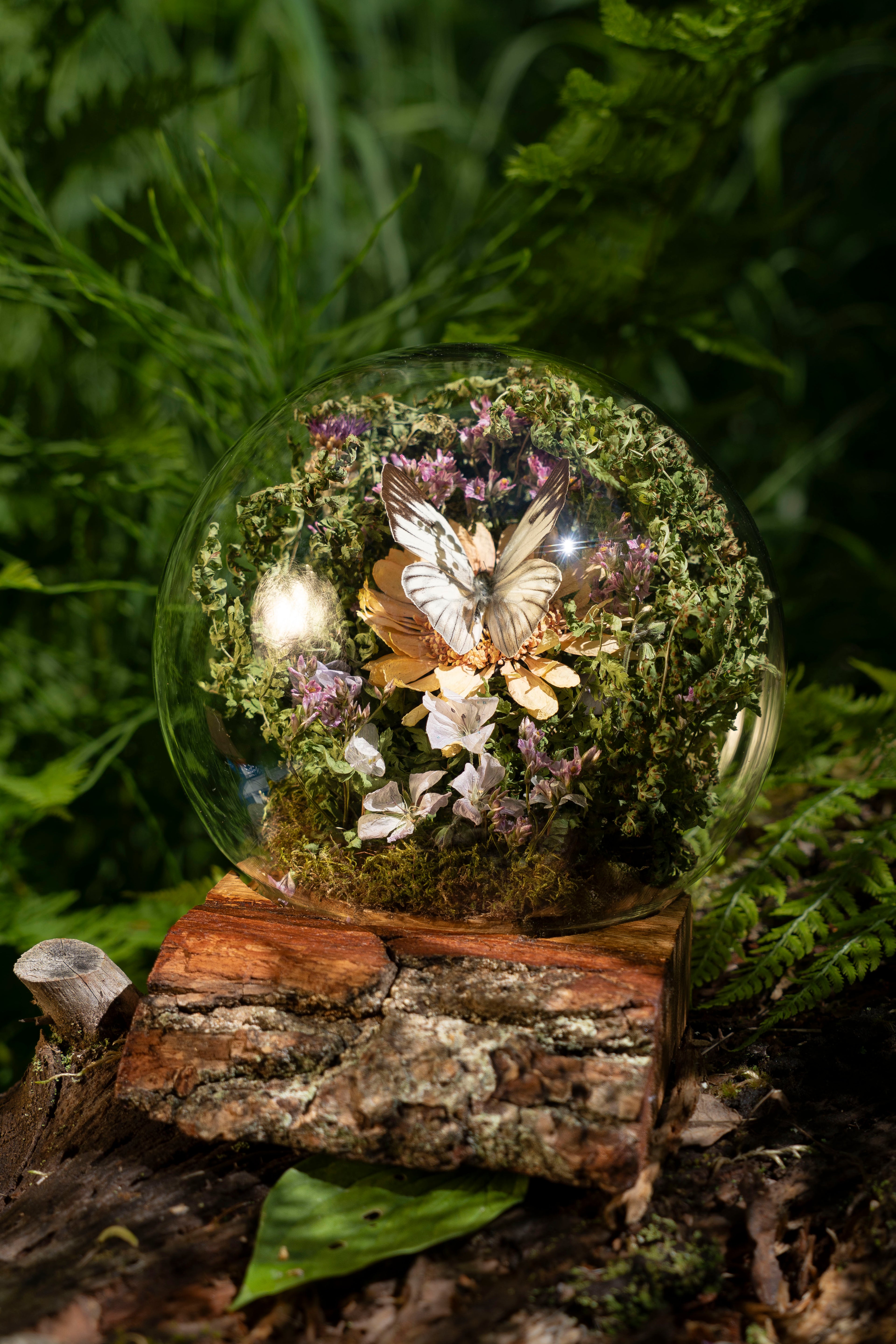 Mini World: Botanic Sphere