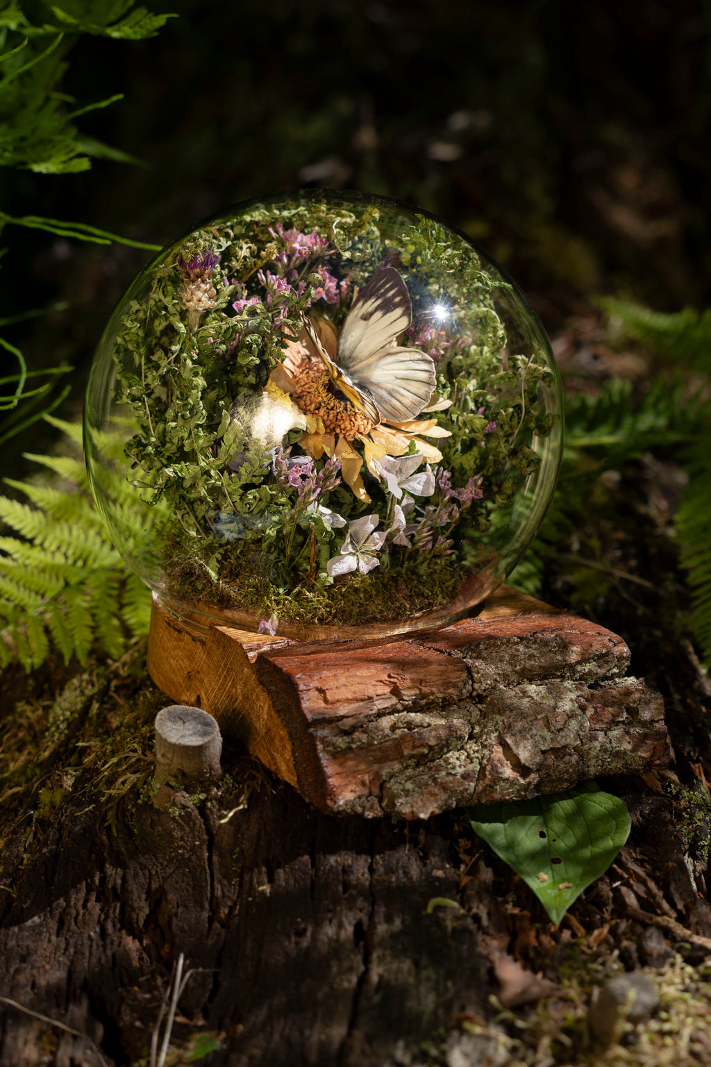 Mini World: Botanic Sphere