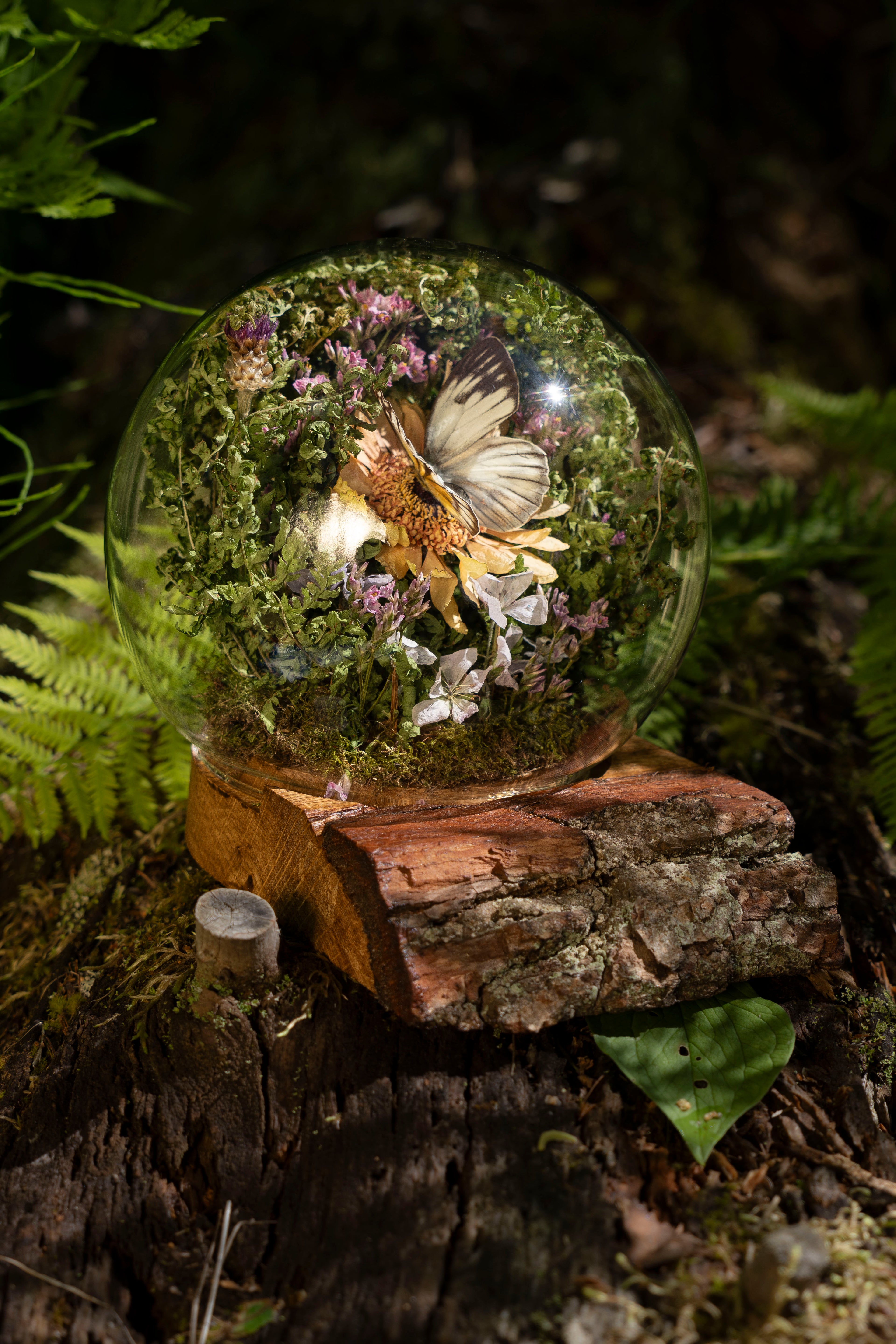 Mini World: Botanic Sphere