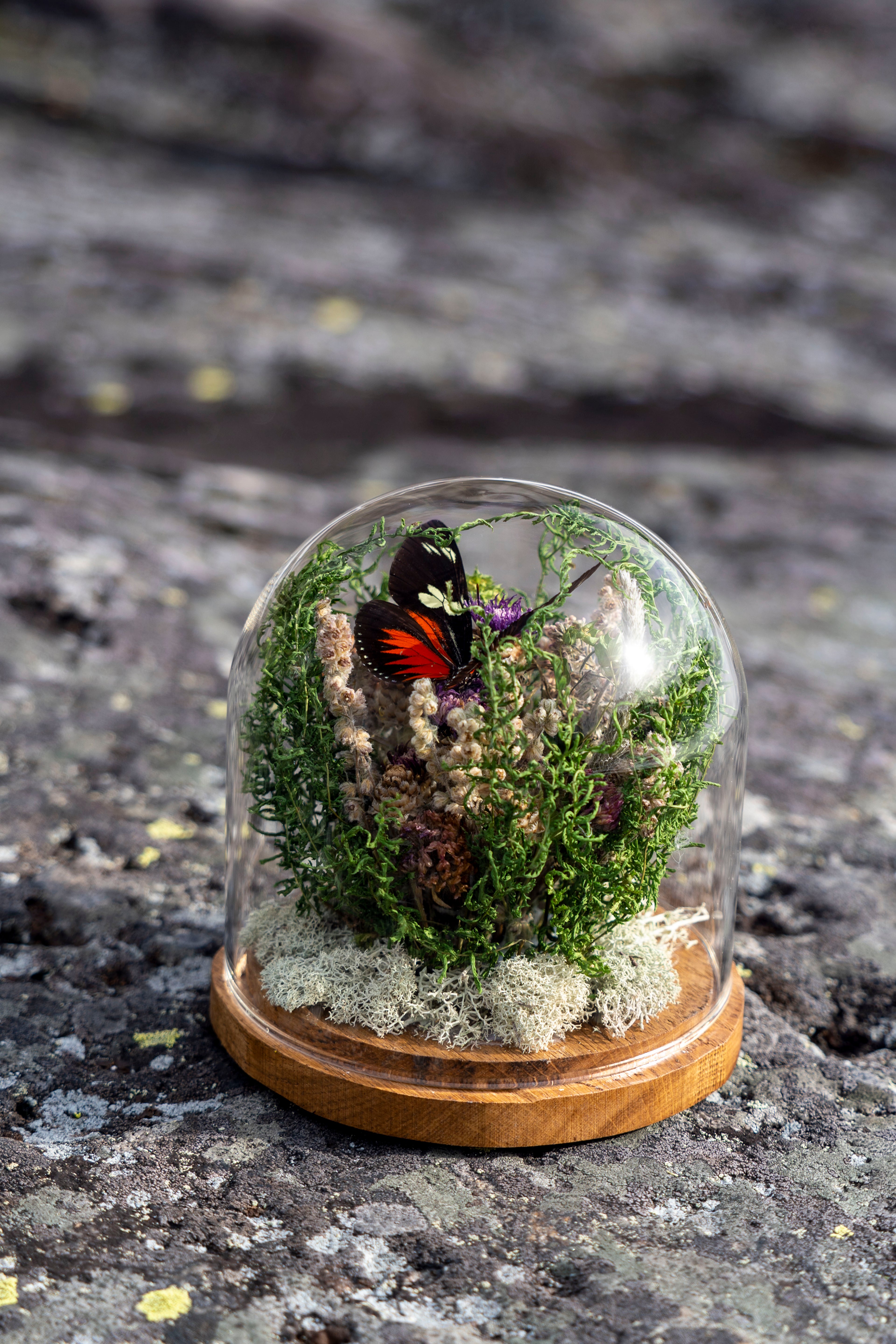 Mini World: Green Hues