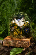 Mini World: Ferns