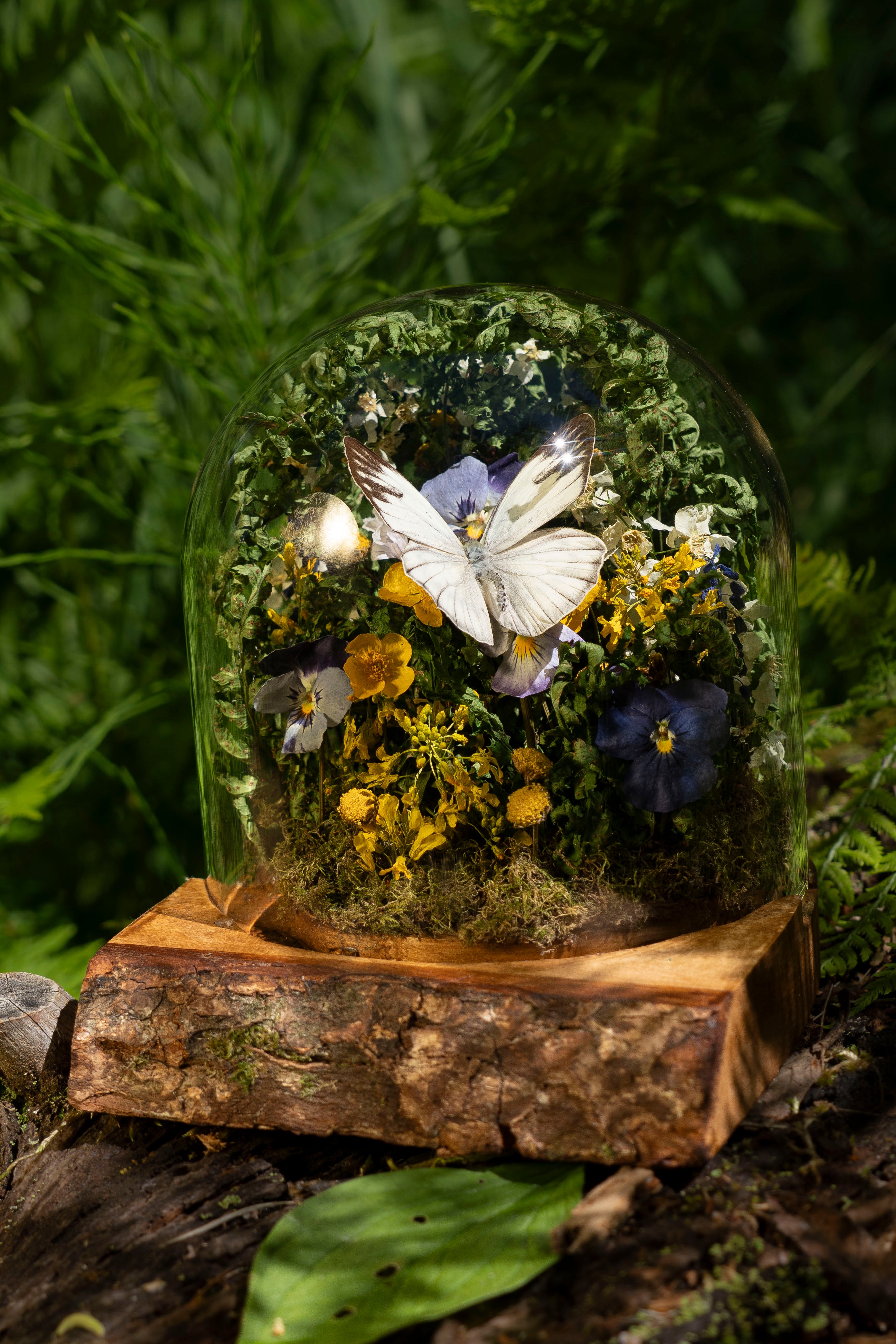 Mini World: Ferns