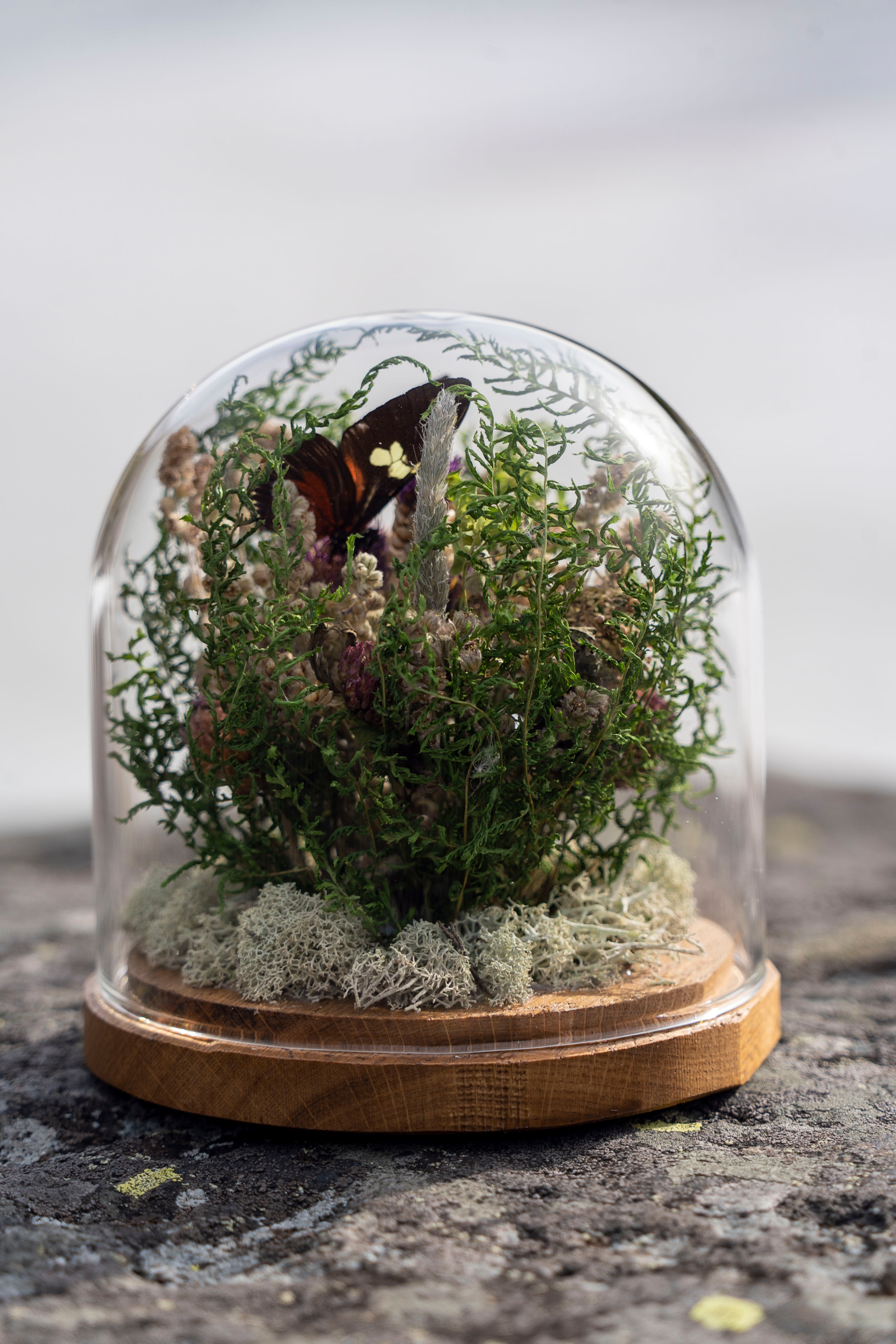 Mini World: Green Hues