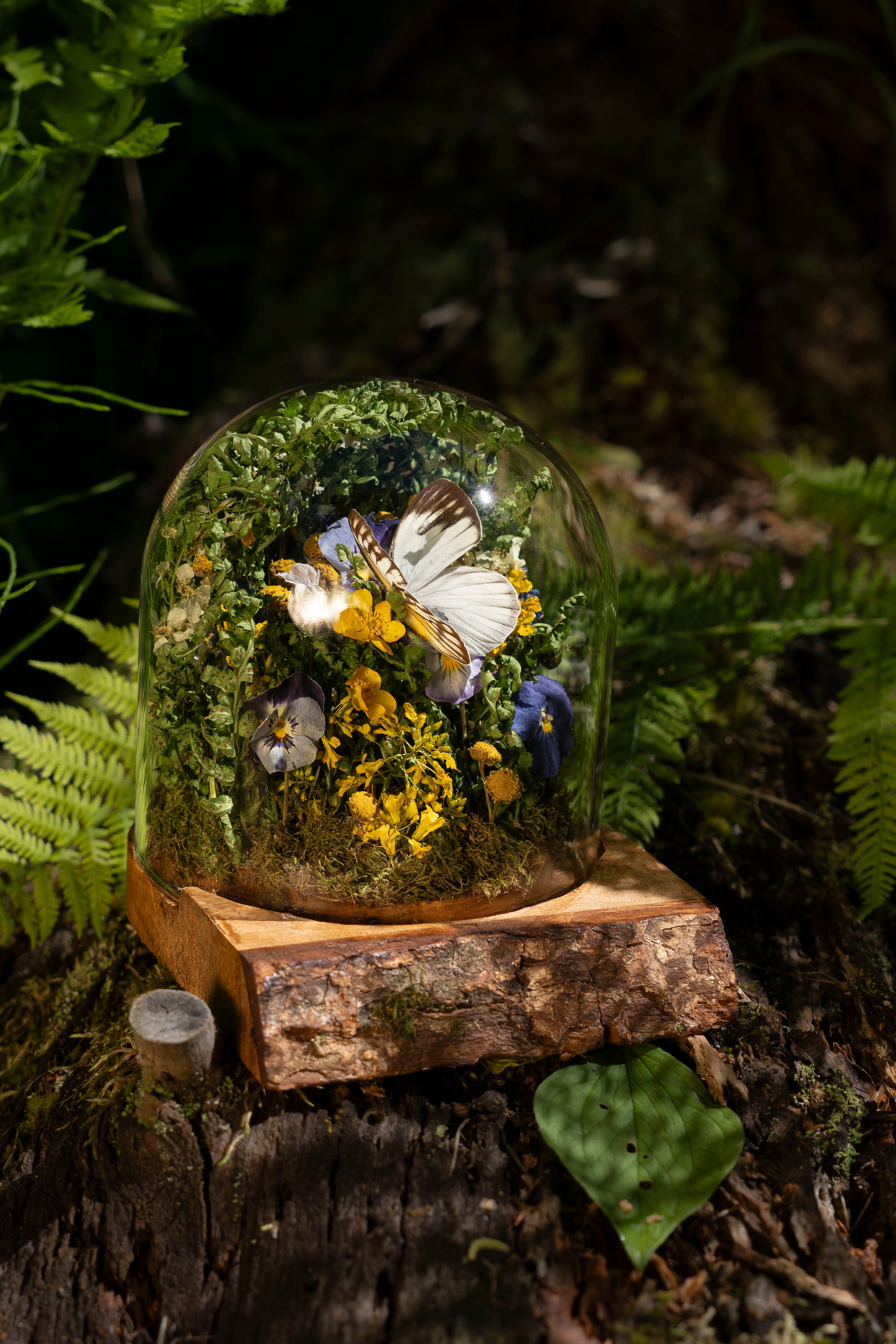Mini World: Ferns