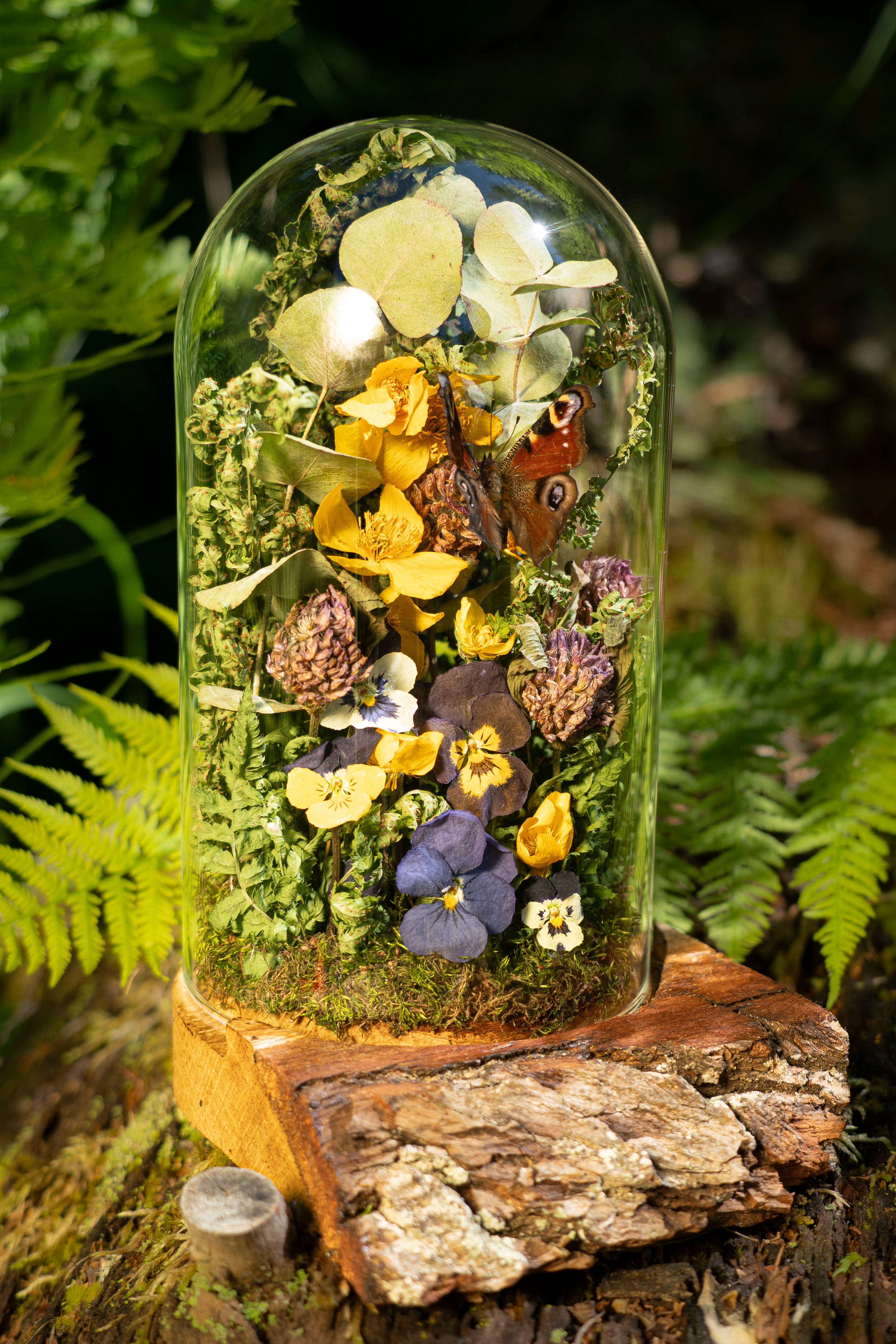 Mini World: Midnight Sun