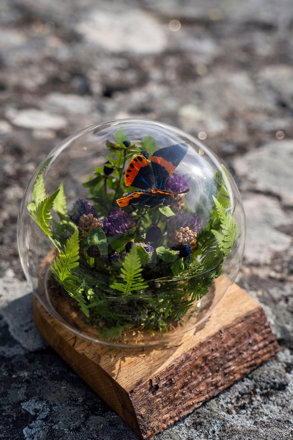 Mini World: Botanisk Omfamning