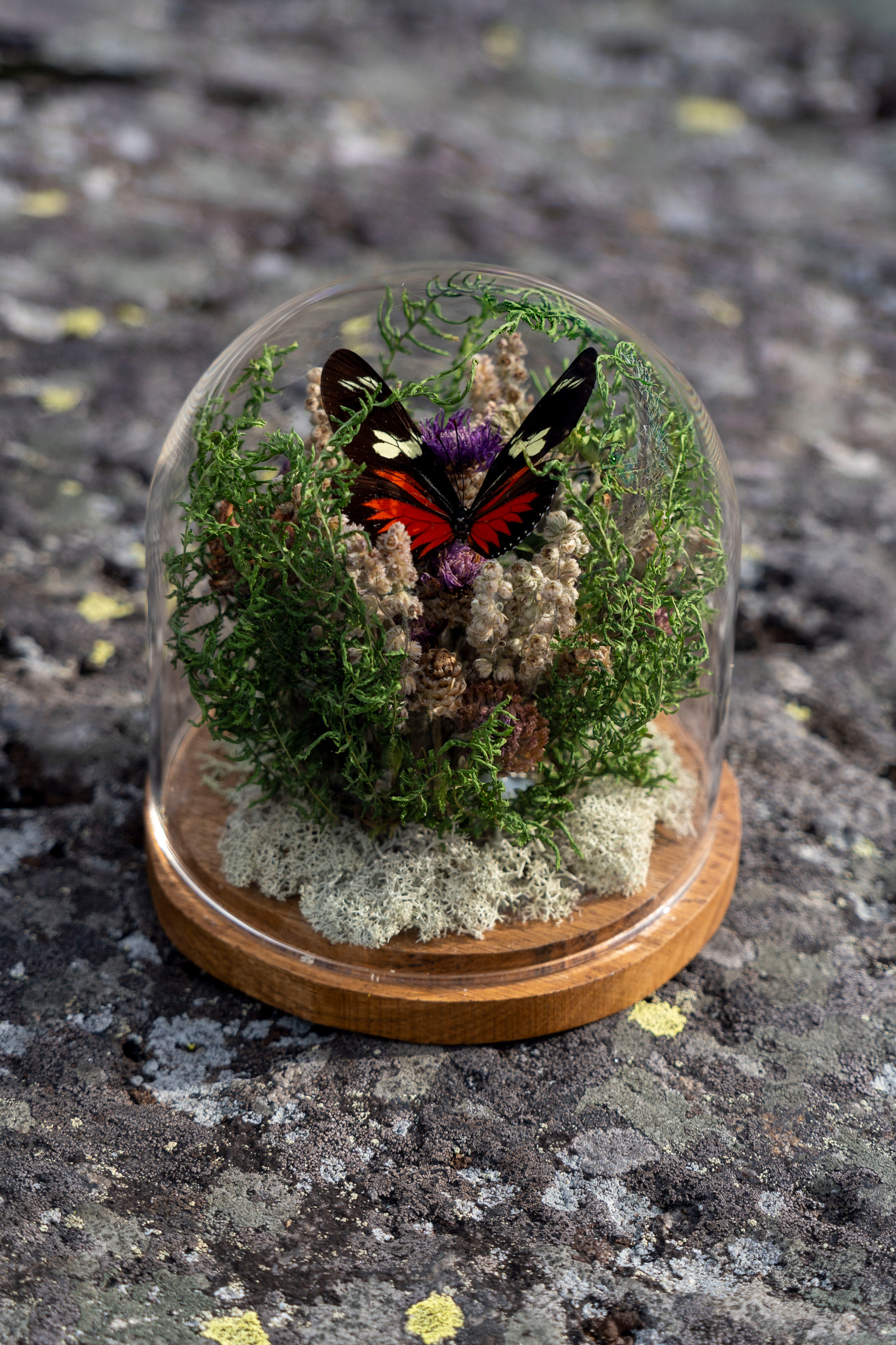 Mini World: Green Hues