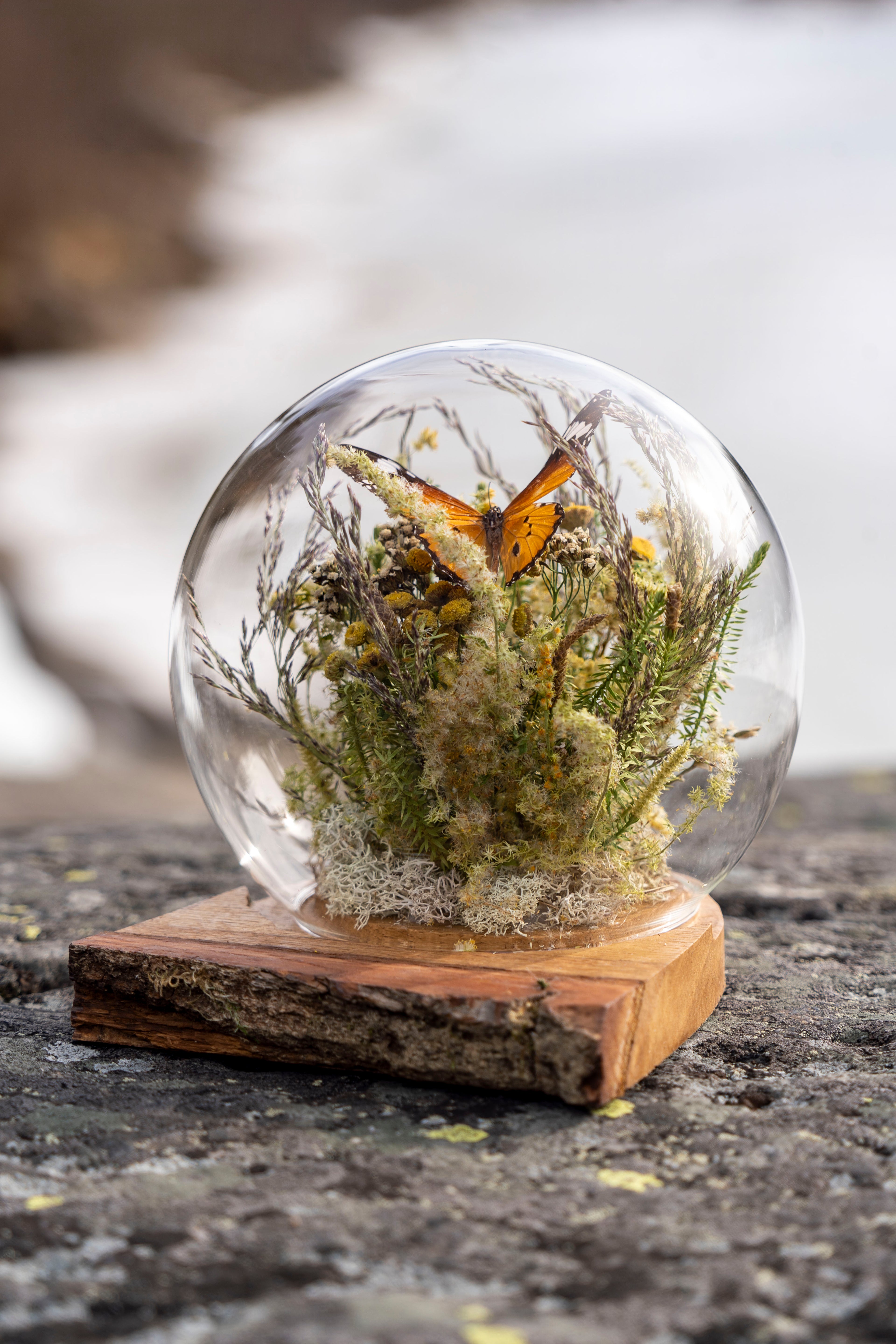 Mini World: Gyllene Äng