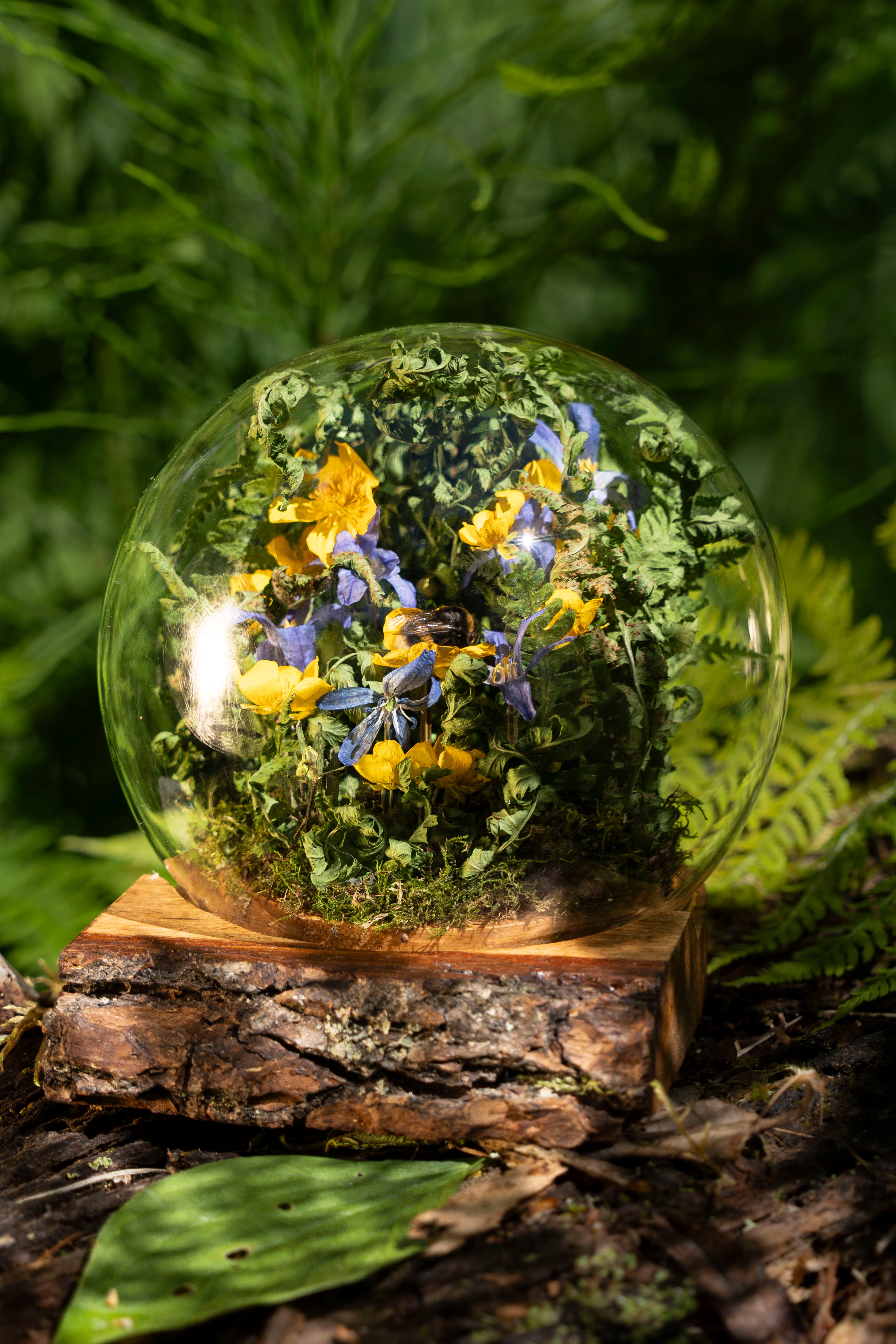 Mini World: Bumblebee