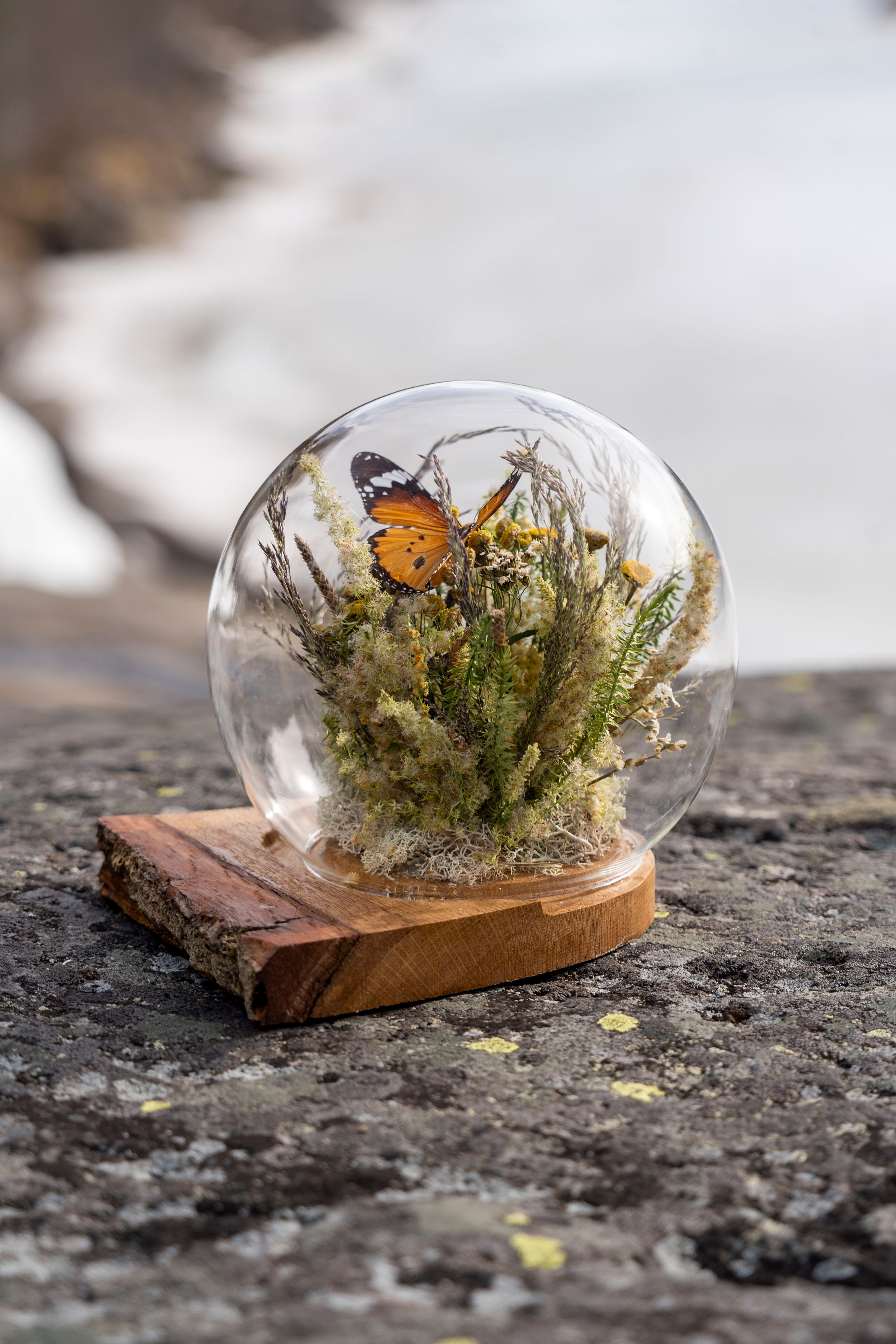 Mini World: Gyllene Äng