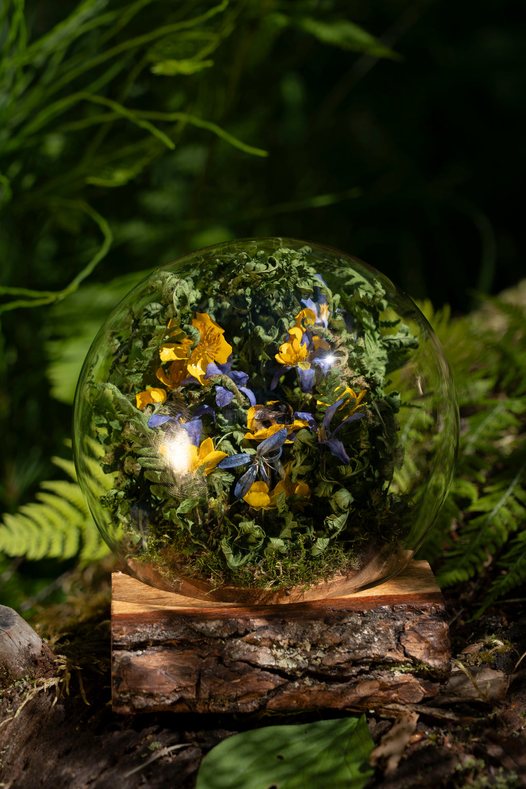 Mini World: Bumblebee