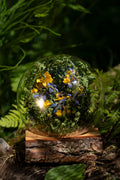 Mini World: Bumblebee