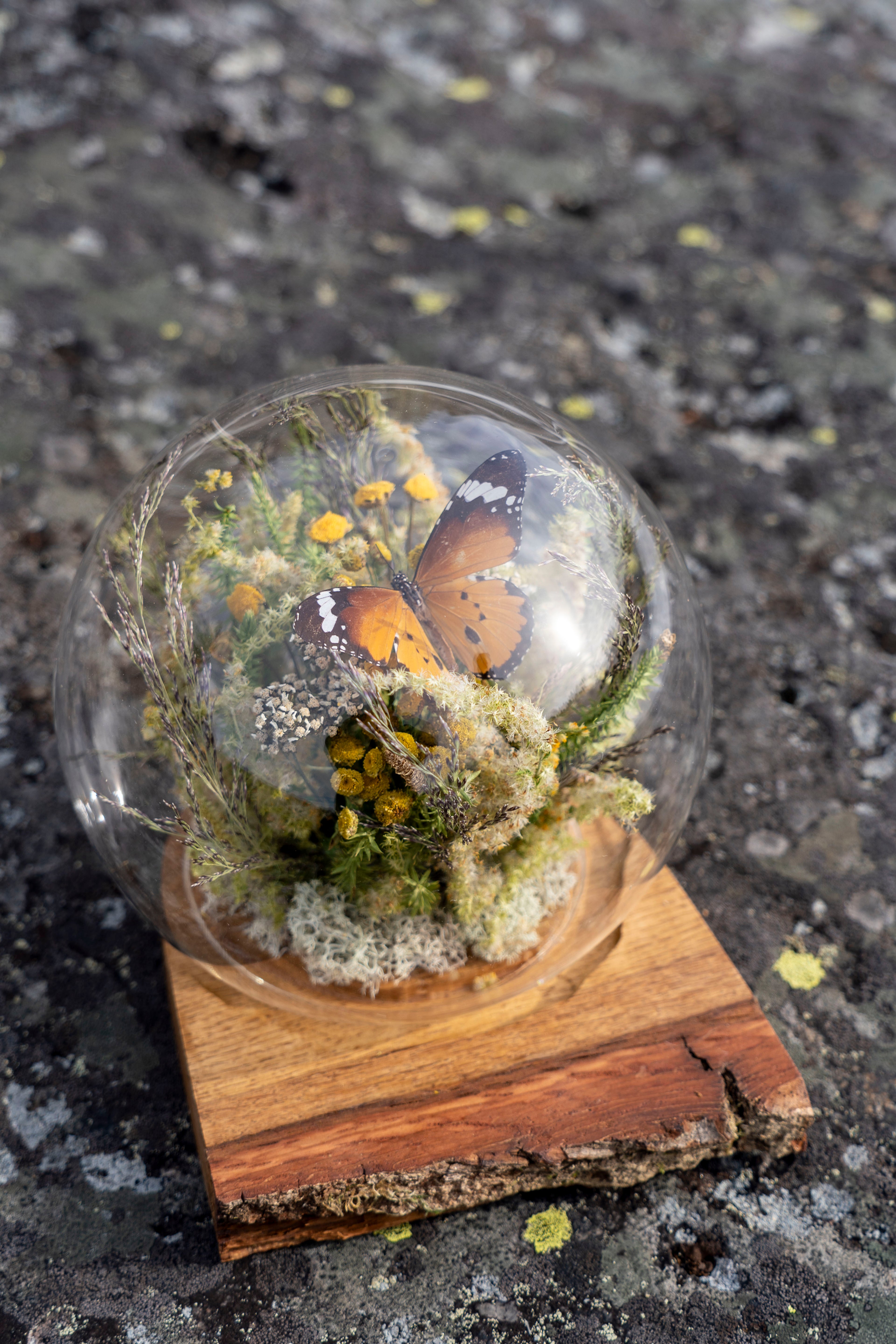 Mini World: Gyllene Äng