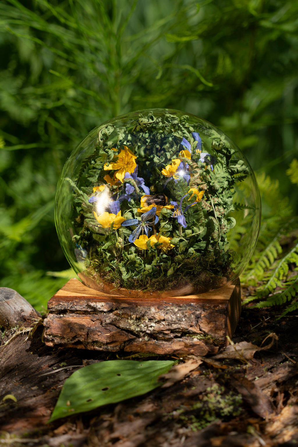 Mini World: Bumblebee