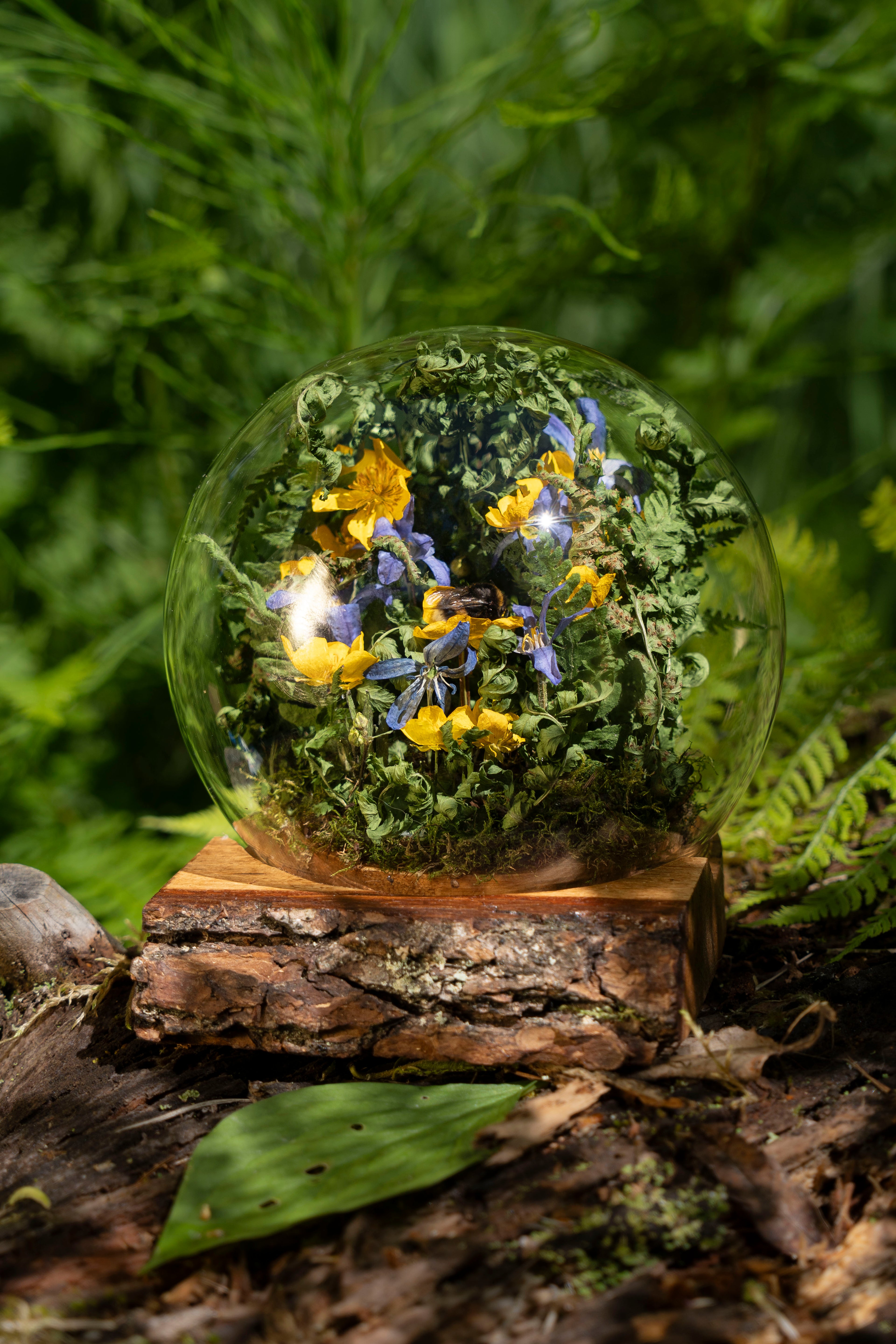 Mini World: Bumblebee