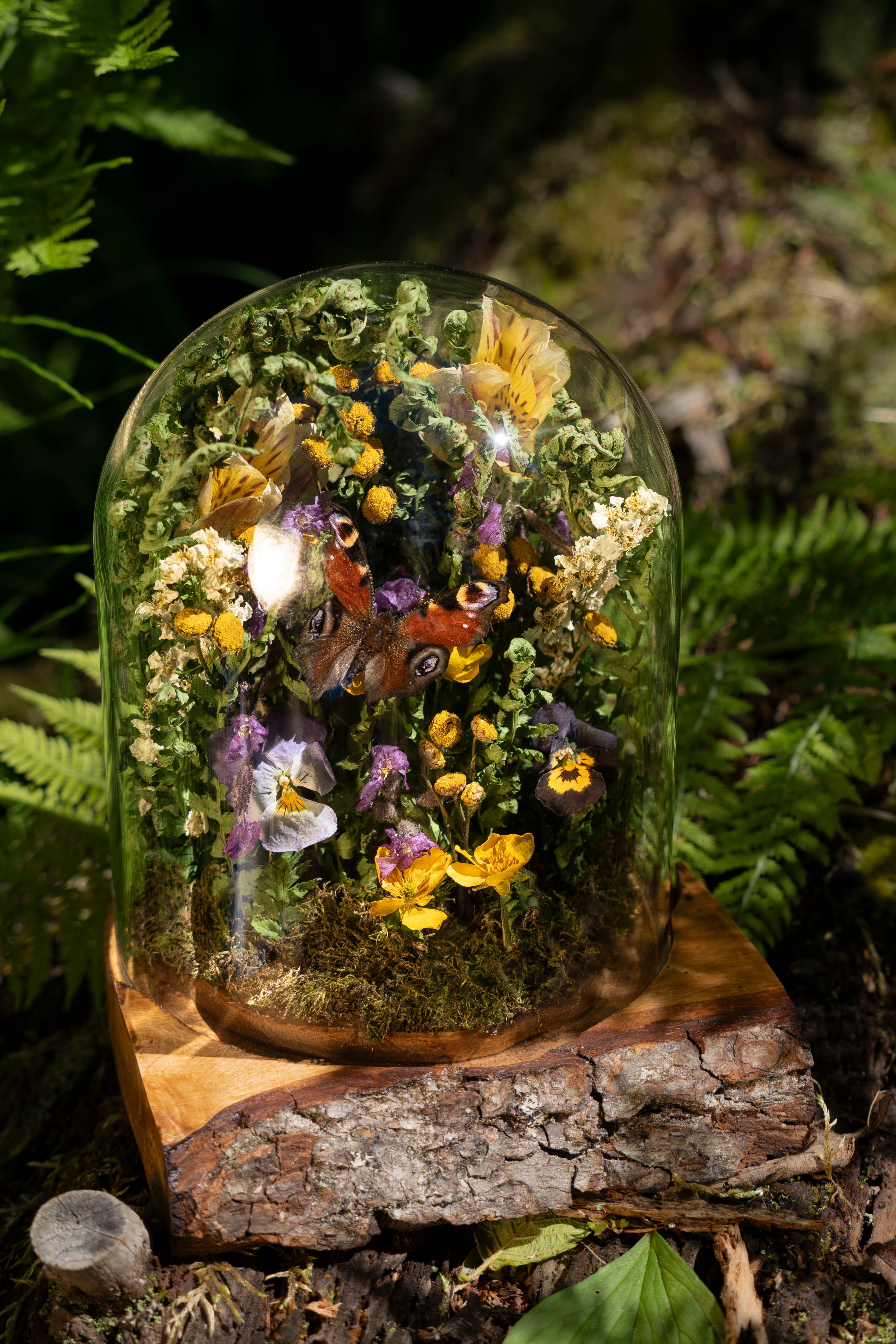 Mini World: Summer