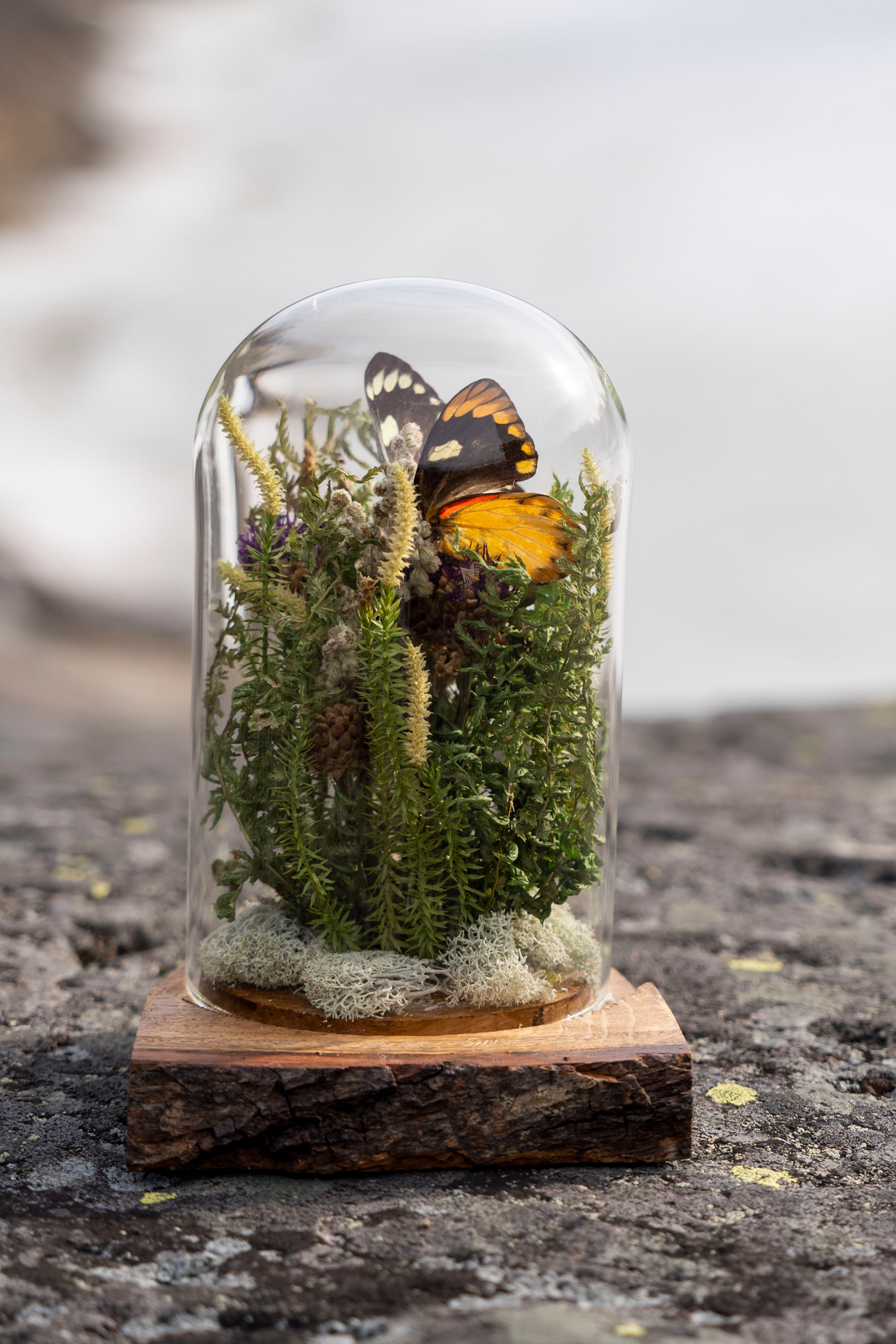 Mini World: Green Foliage