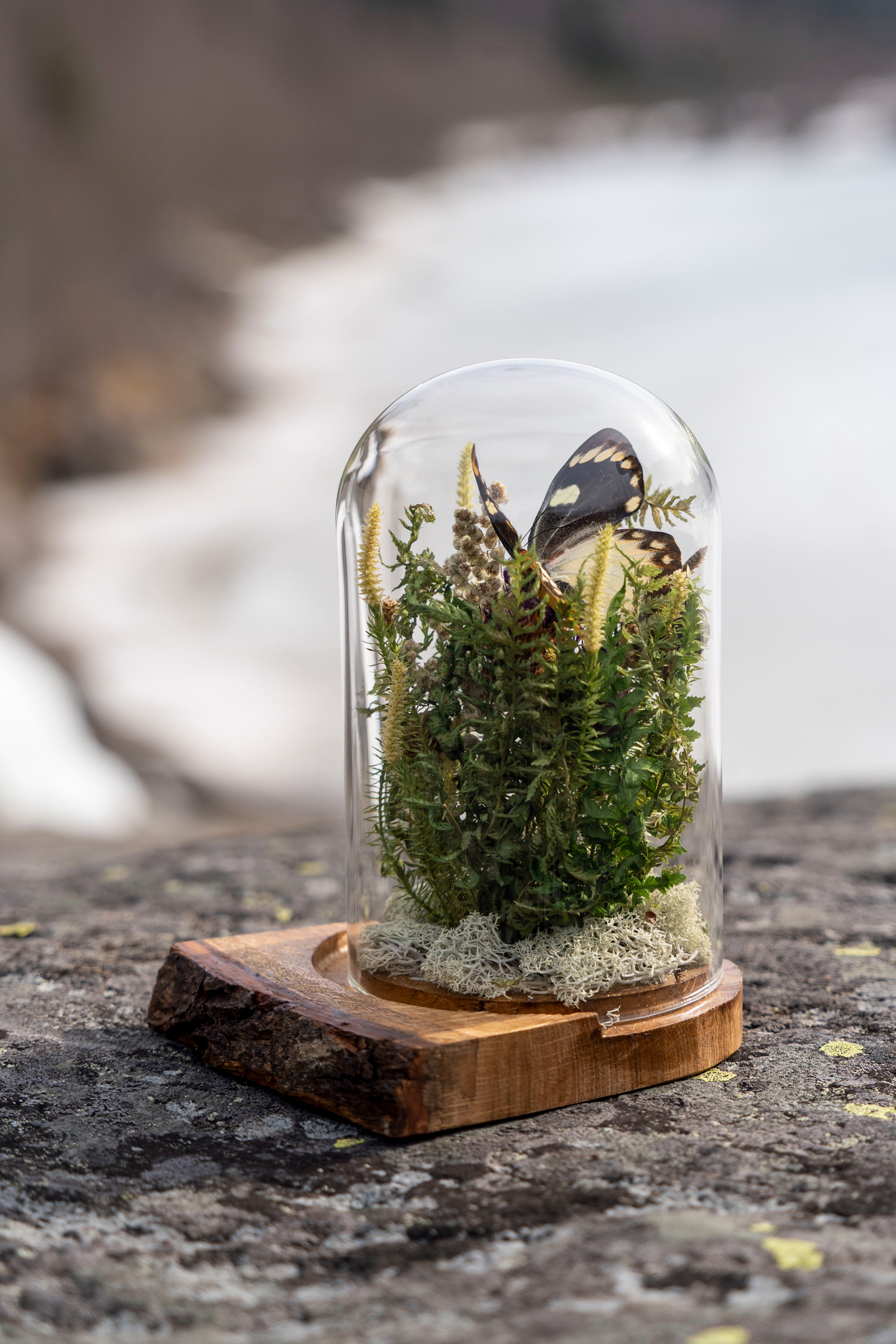 Mini World: Green Foliage