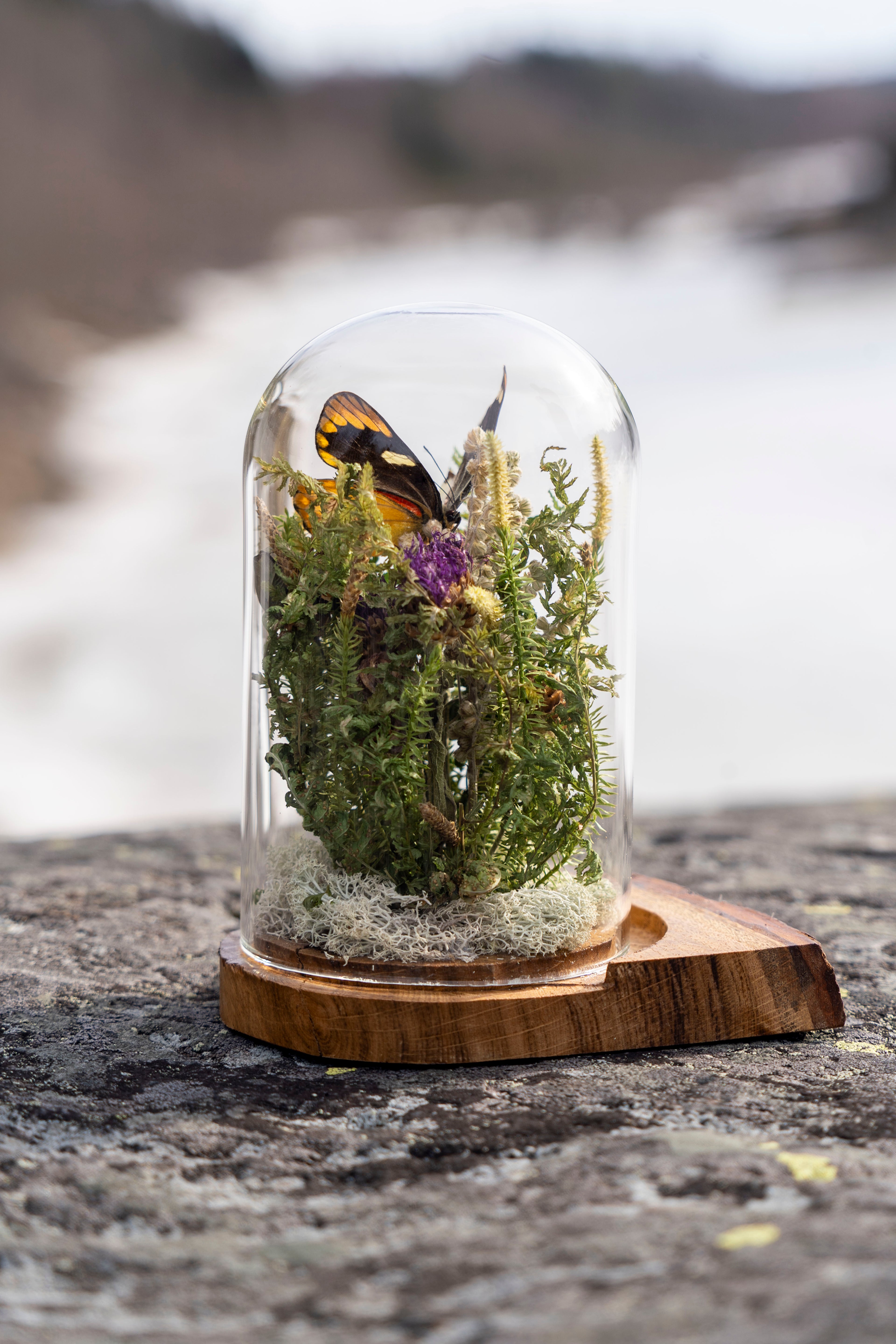 Mini World: Green Foliage