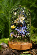 Mini World: Blue Star