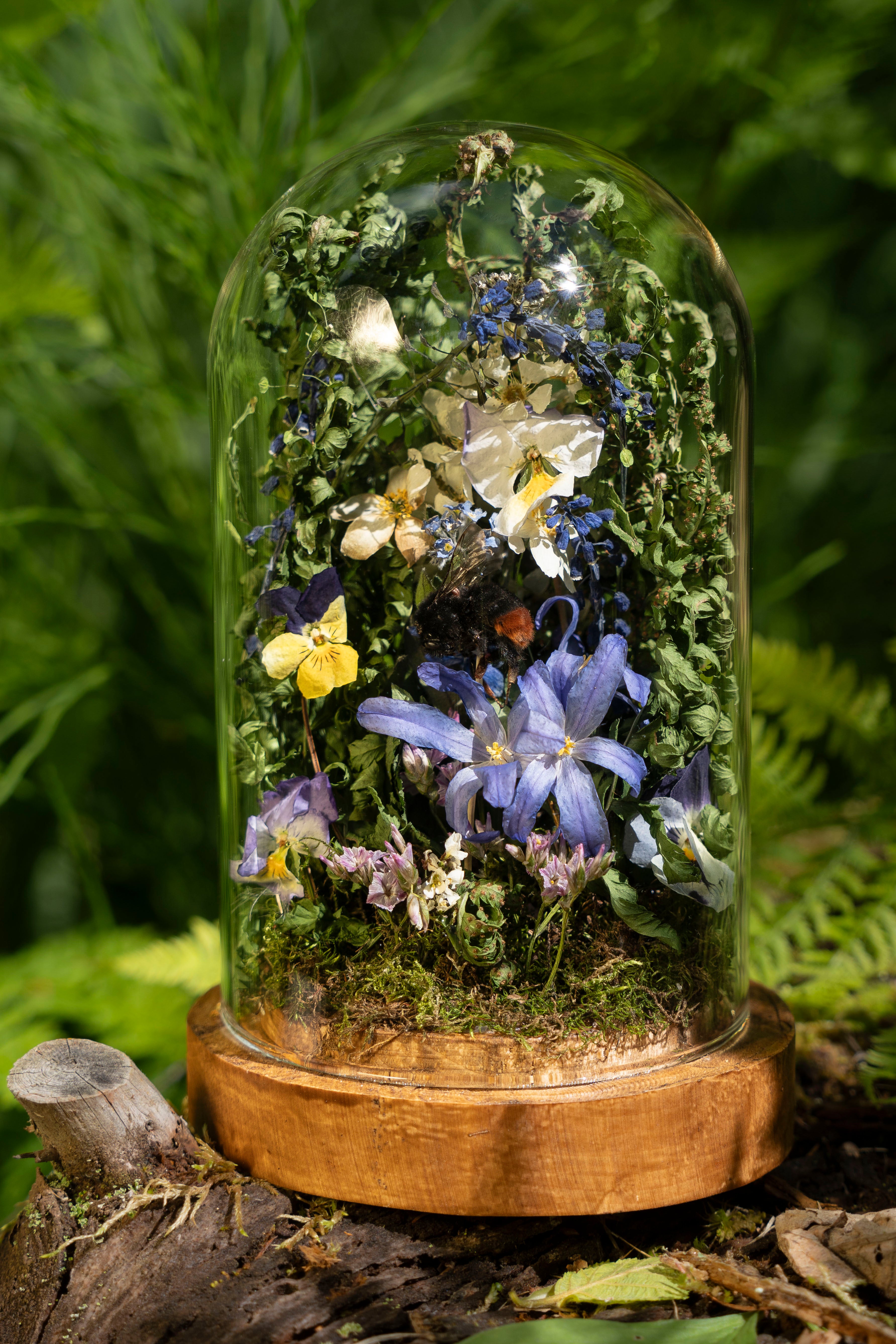 Mini World: Blue Star