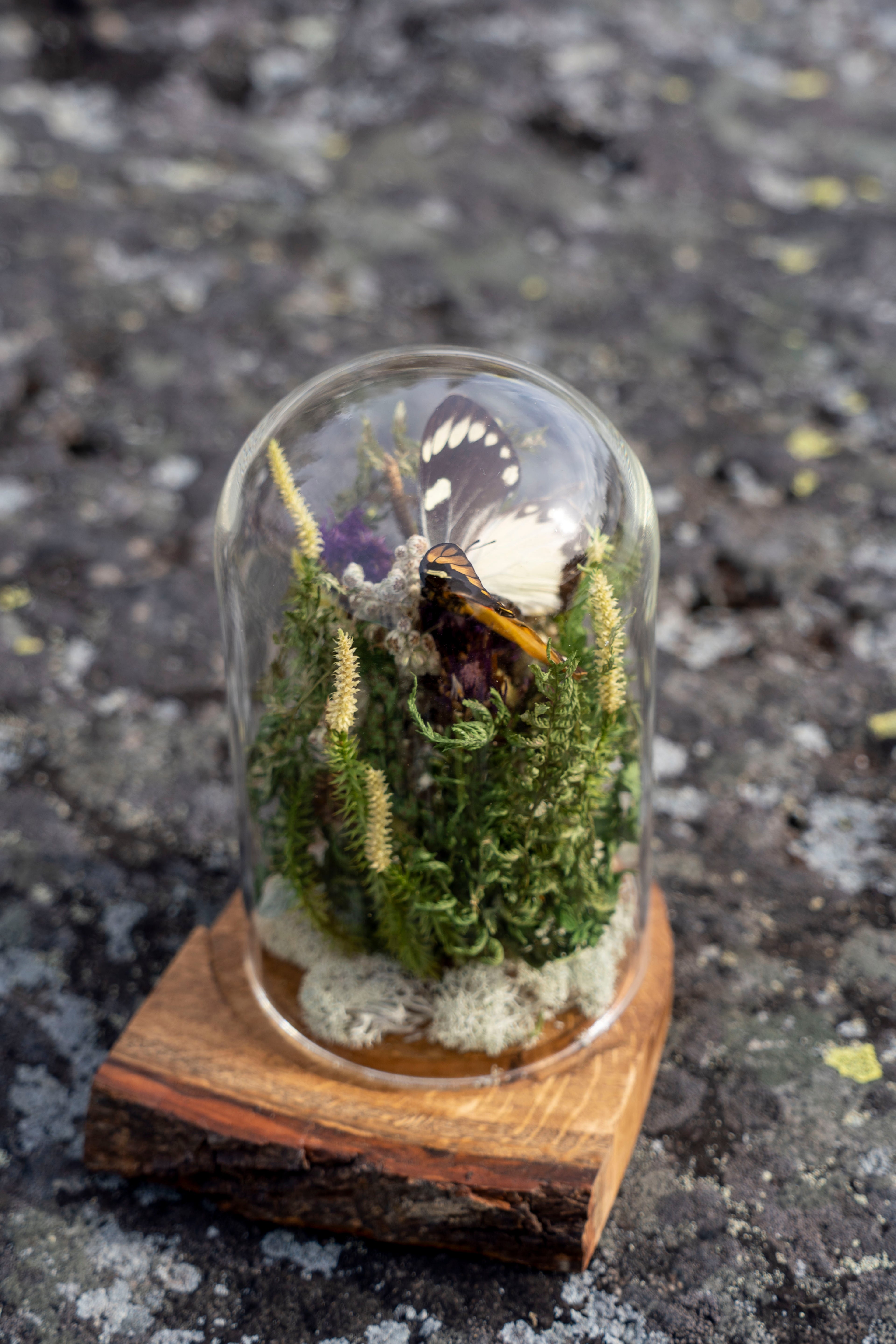 Mini World: Green Foliage