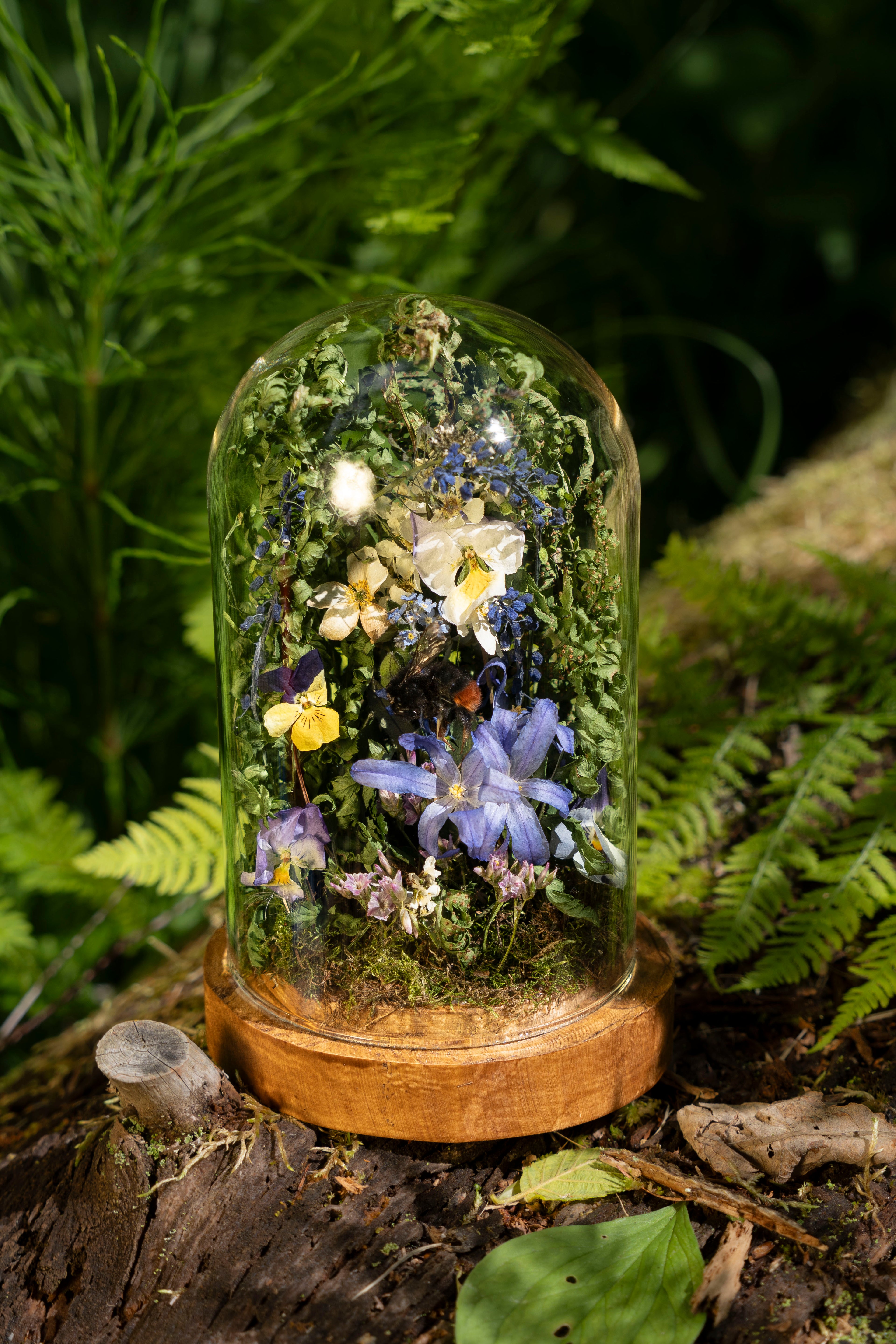 Mini World: Blue Star