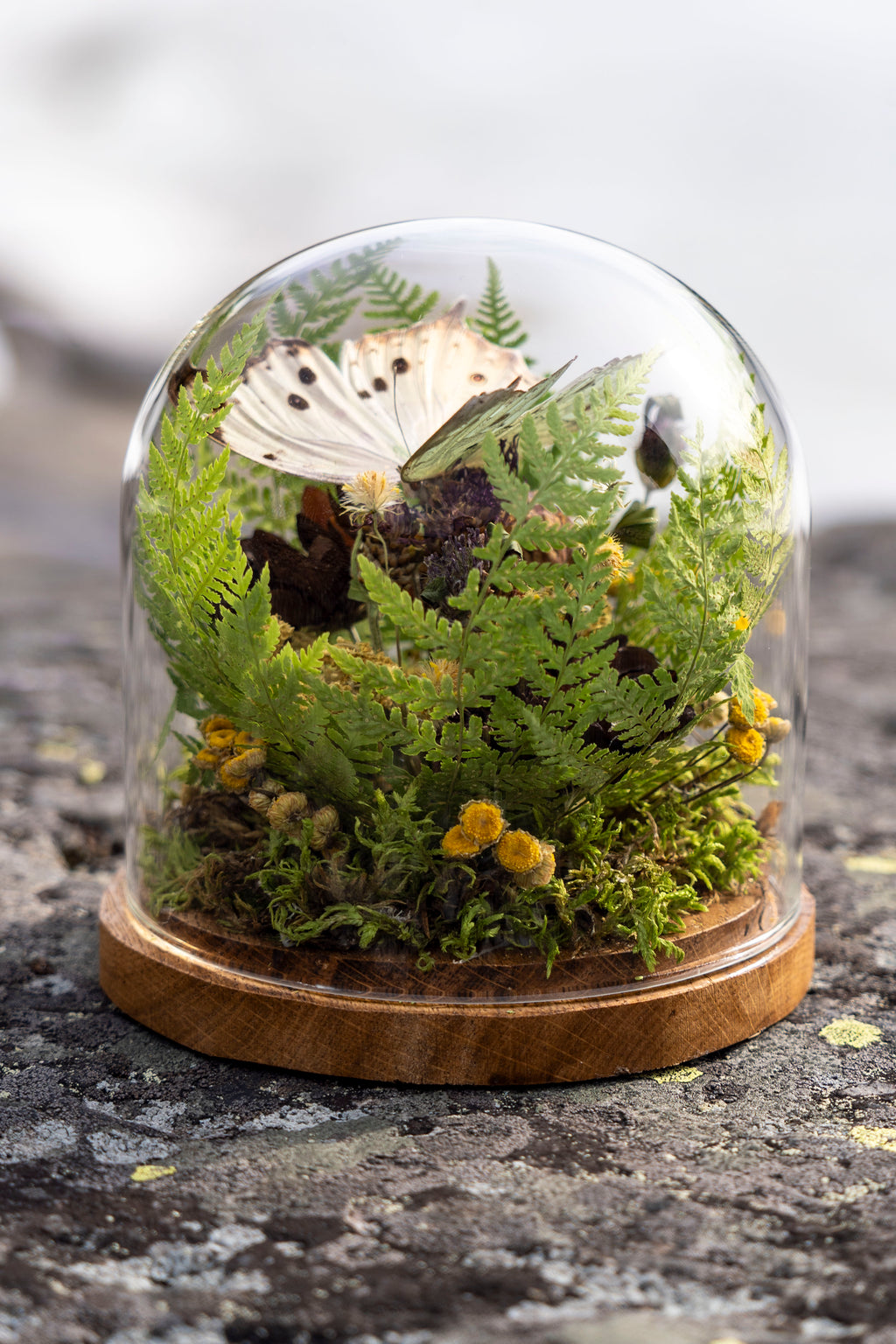 Mini World: Rosa Glimmer